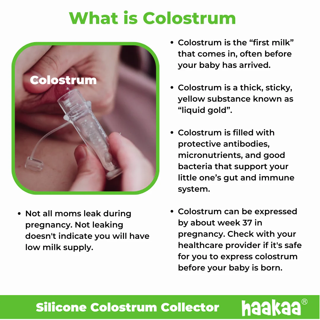Silicone Colostrum Collector Set - Image 4