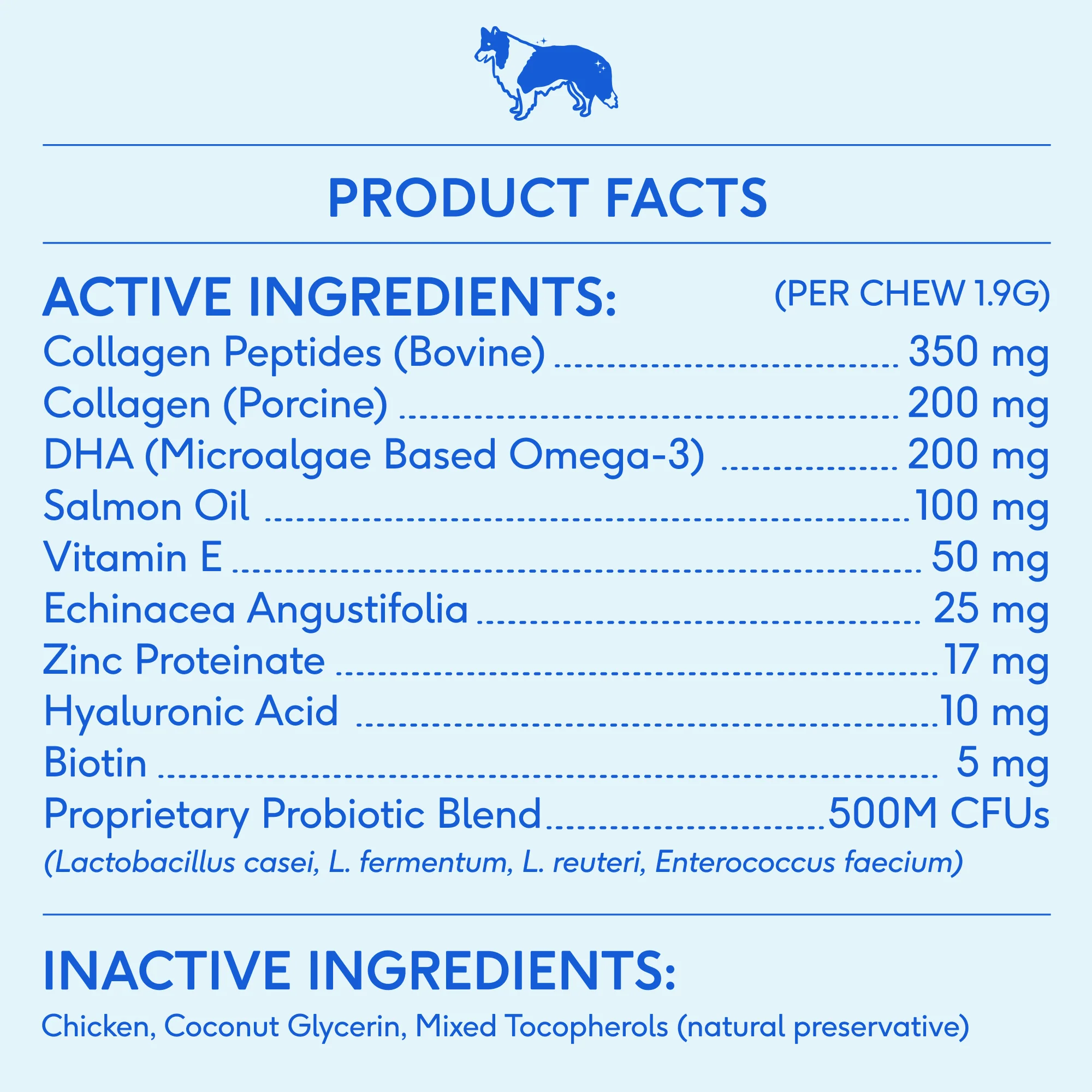 Skin and Coat Chews Supplement for Dogs - Image 7