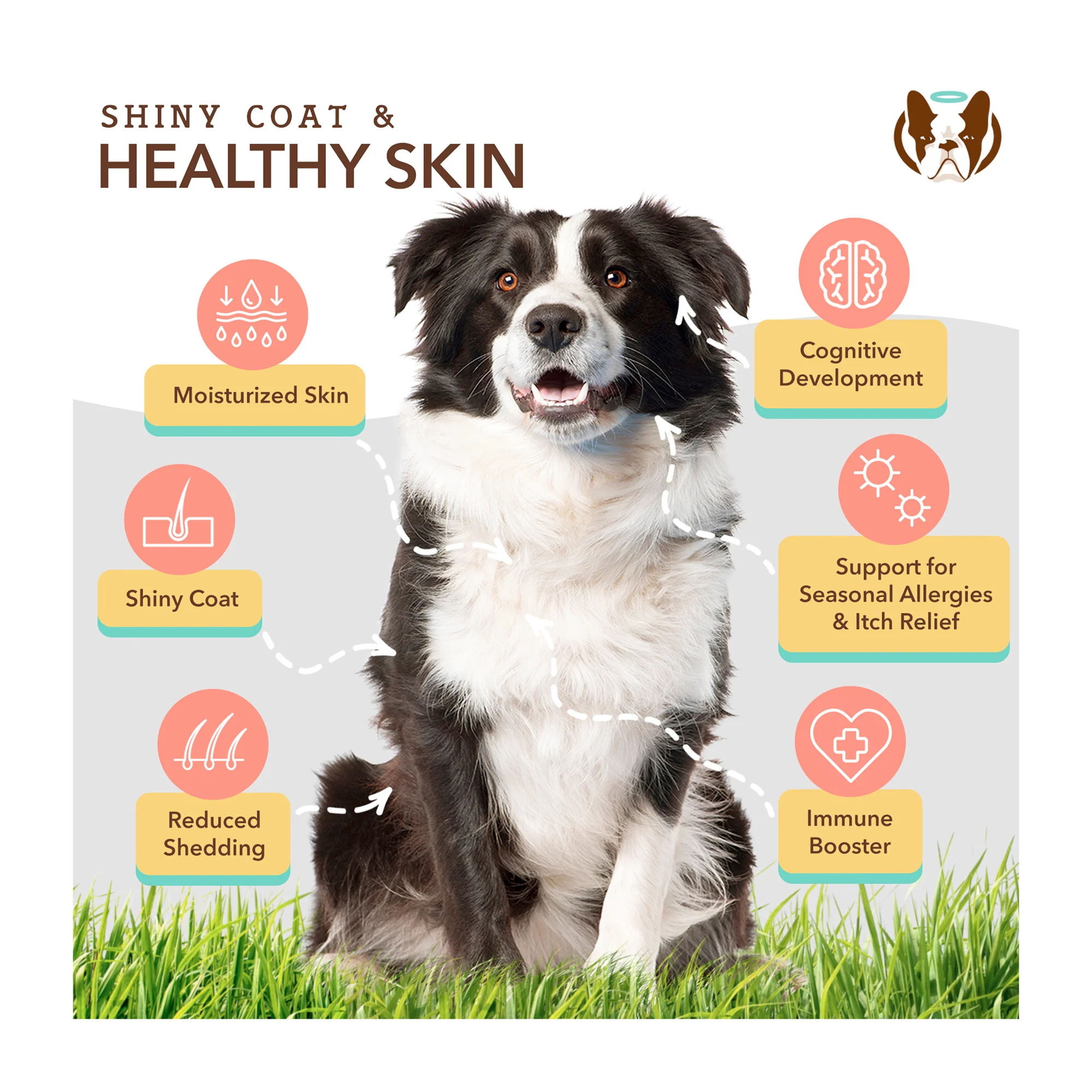 Skin & Coat Oil - Image 8
