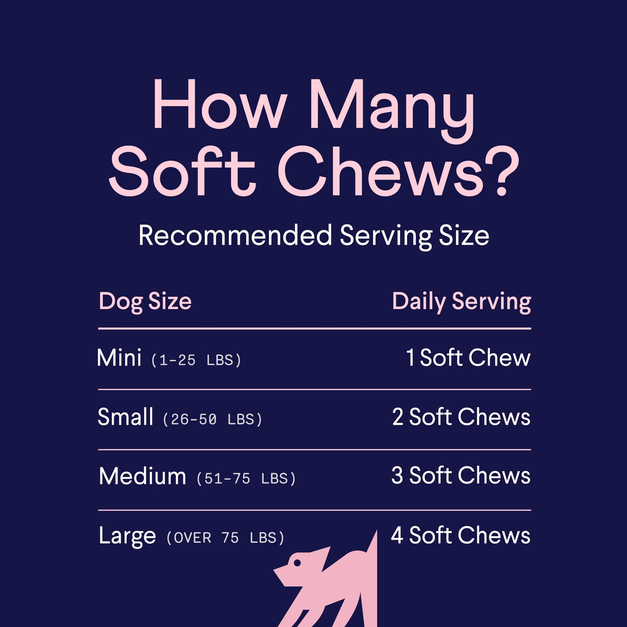 Skin & Coat Supplement for Dogs - Image 8