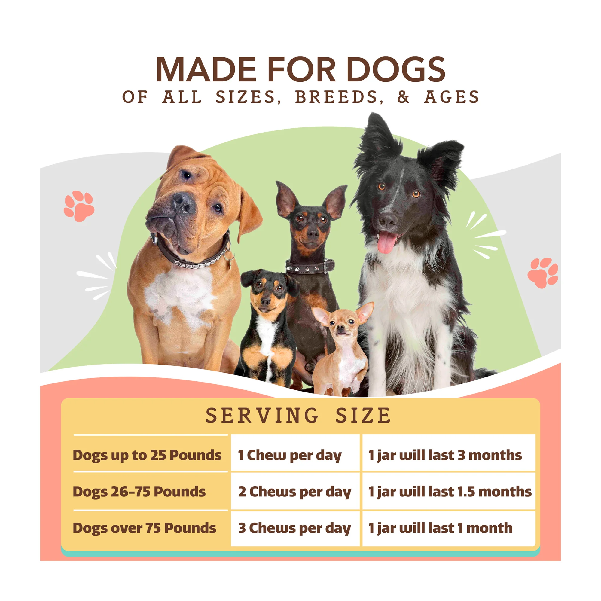 Skin & Coat Supplement for Dogs, Soft Chews - Image 9