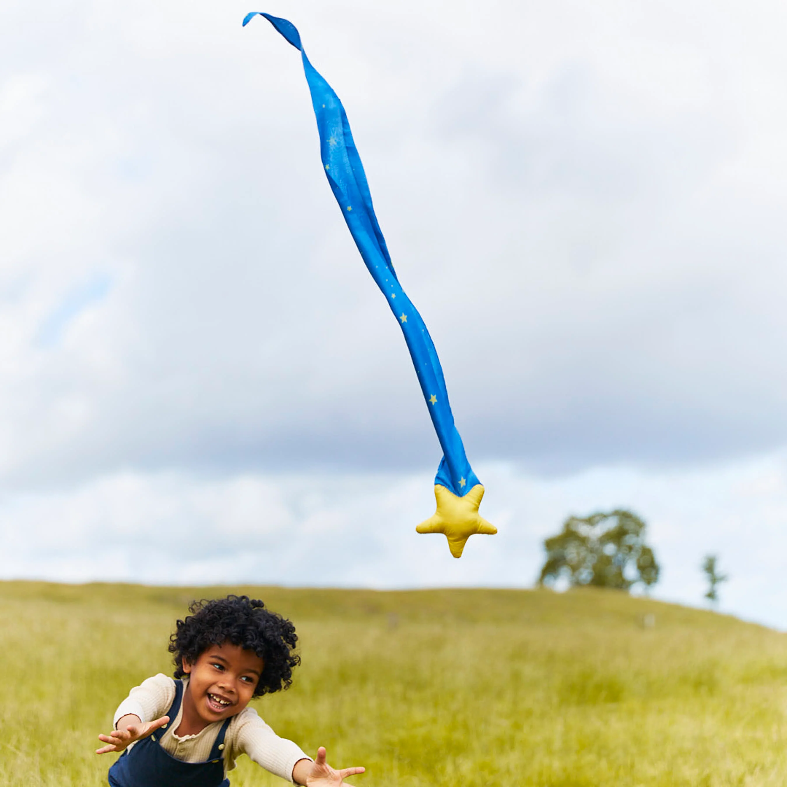 Skytail - Image 4
