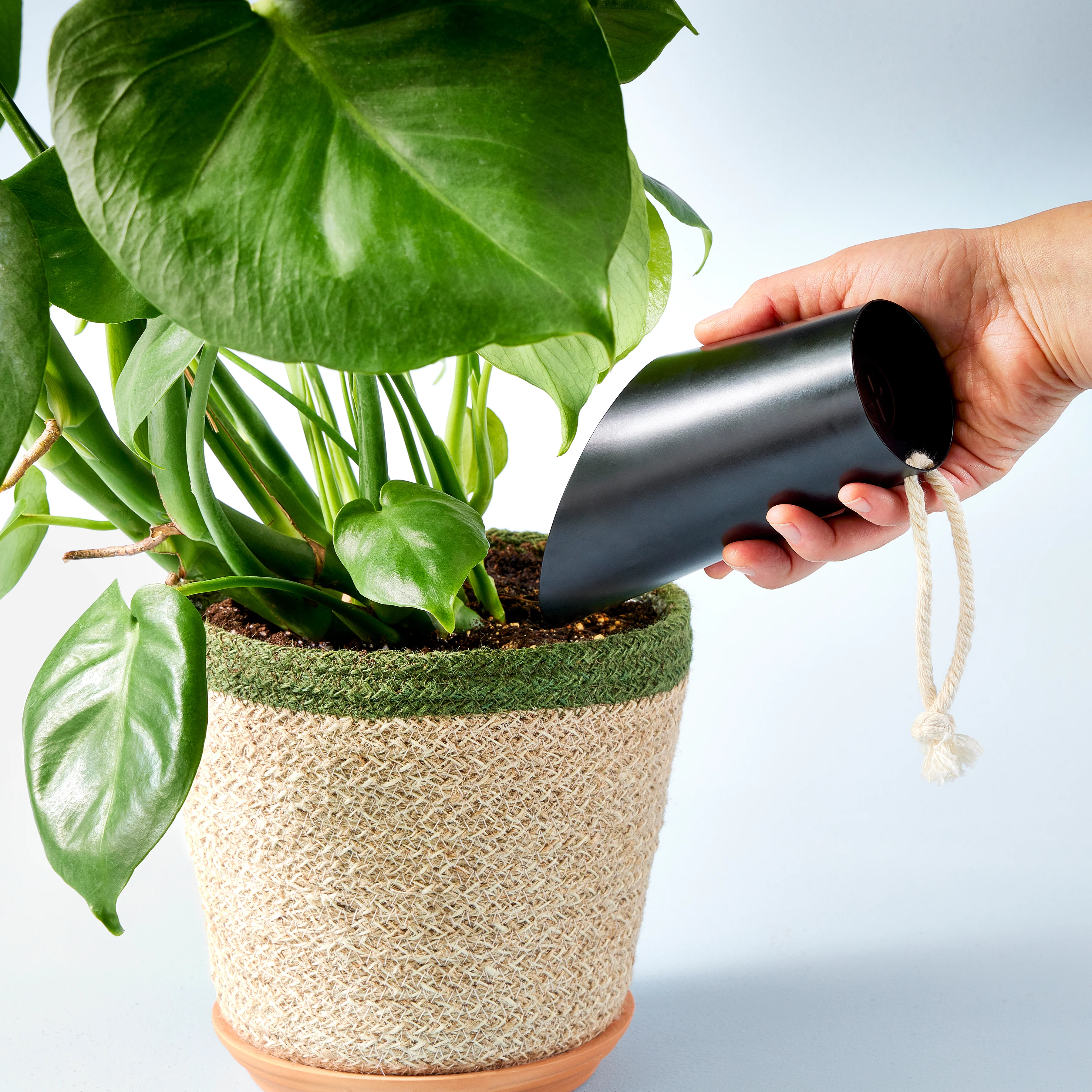 Soil Scoop - Image 2