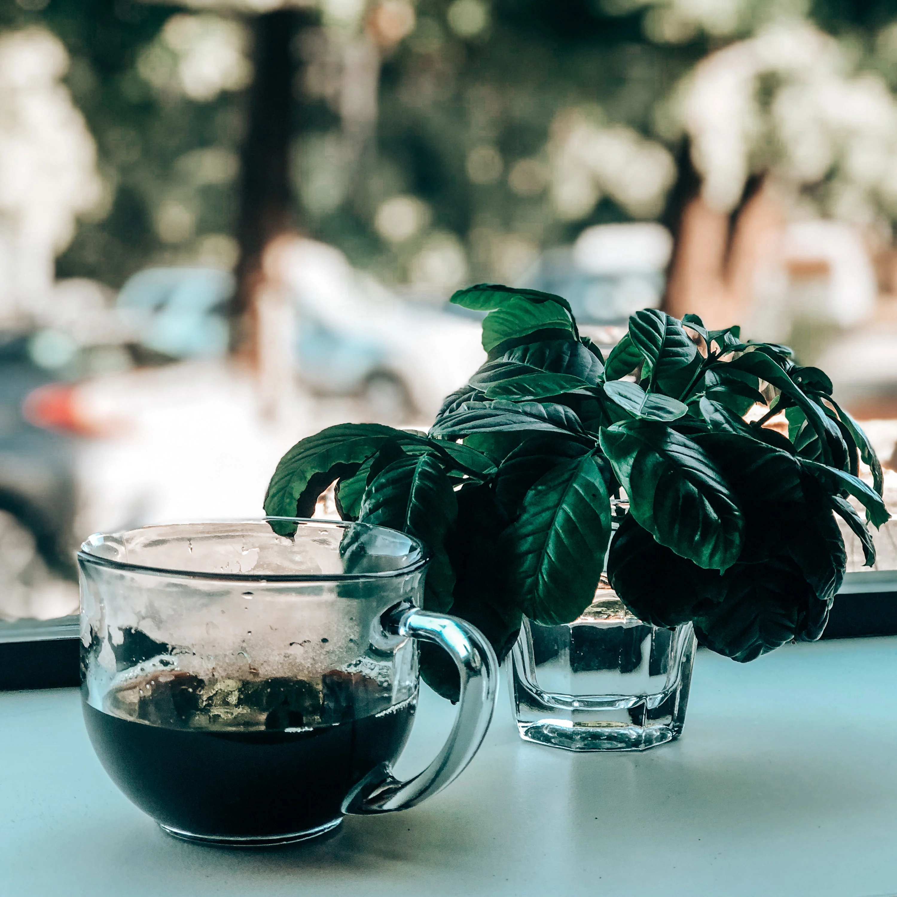 Songbird Colombian Dark Whole Bean Coffee - Image 4