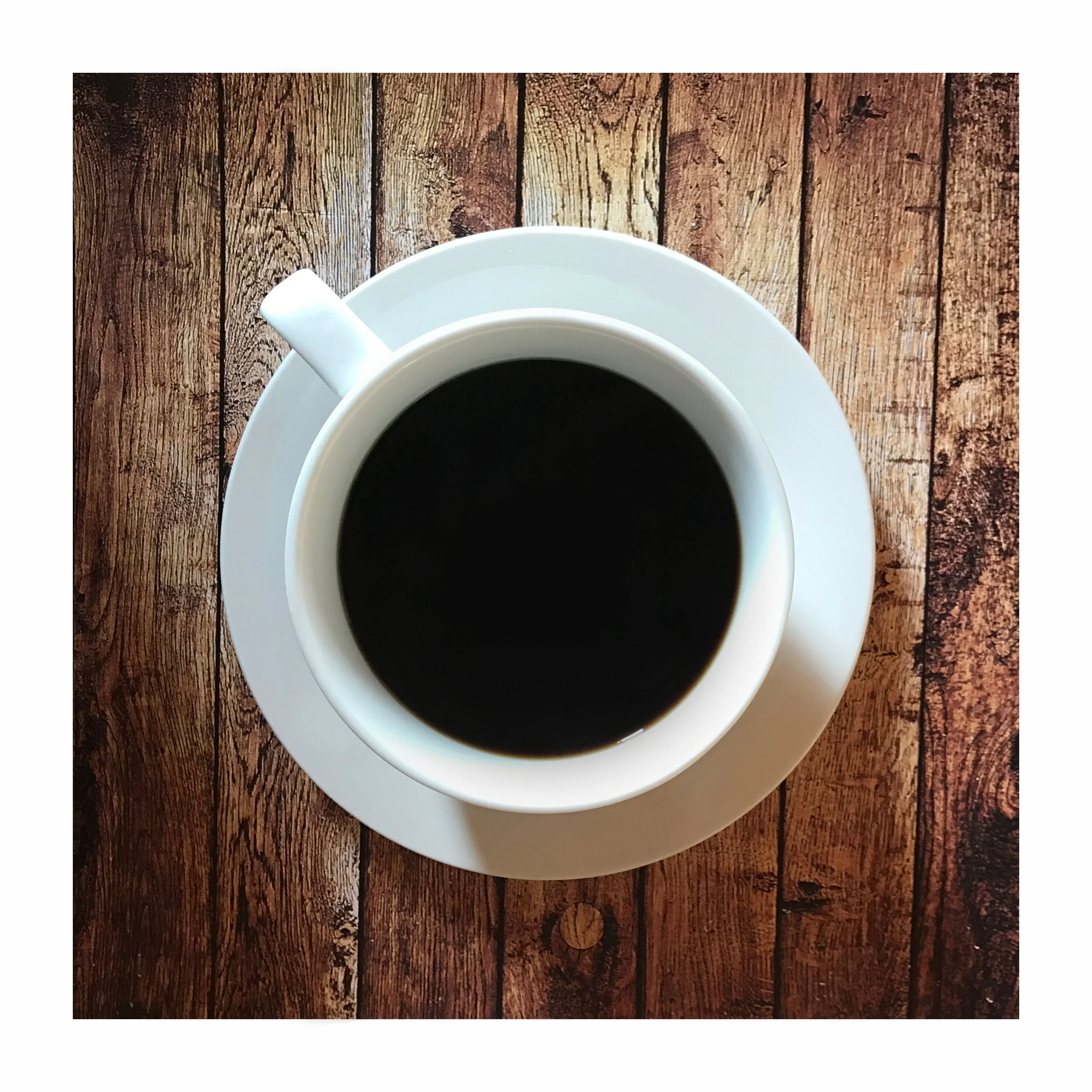 Songbird Guatemalan Light Roast Whole Bean Coffee - Image 4