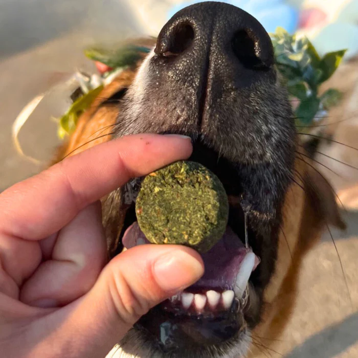 Veggie Dailies with Spirulina - Image 6