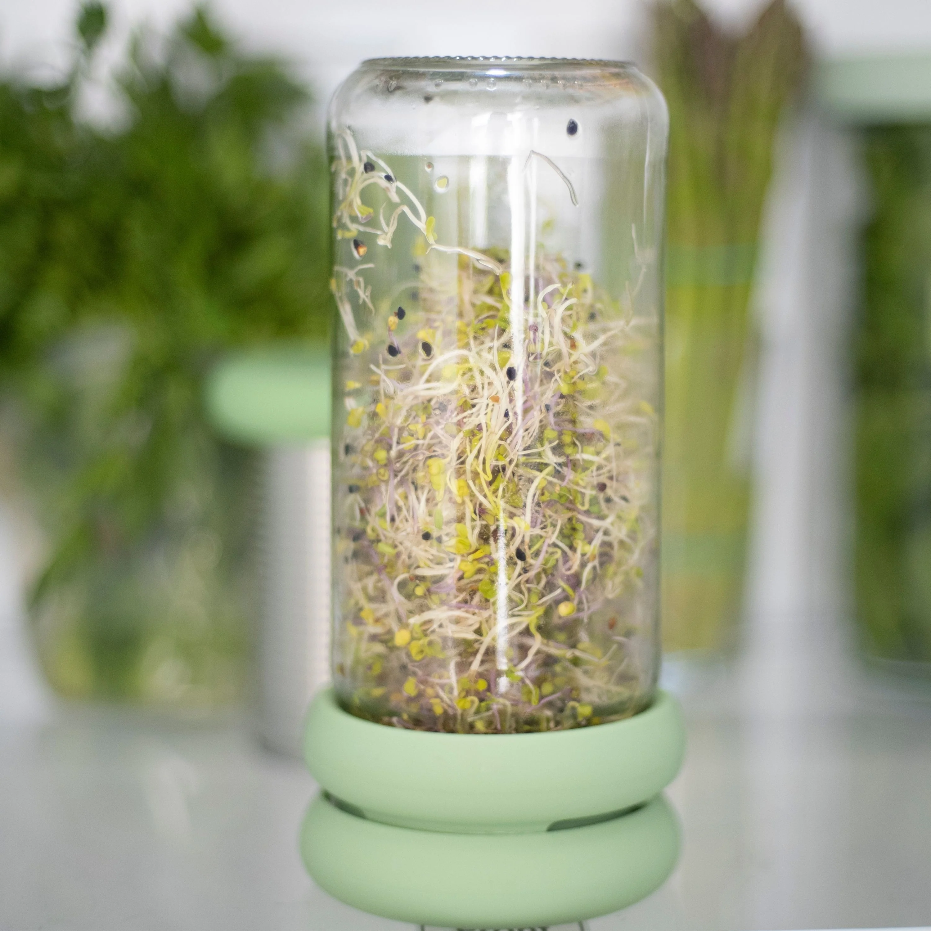 Sprout Huggers - Image 7