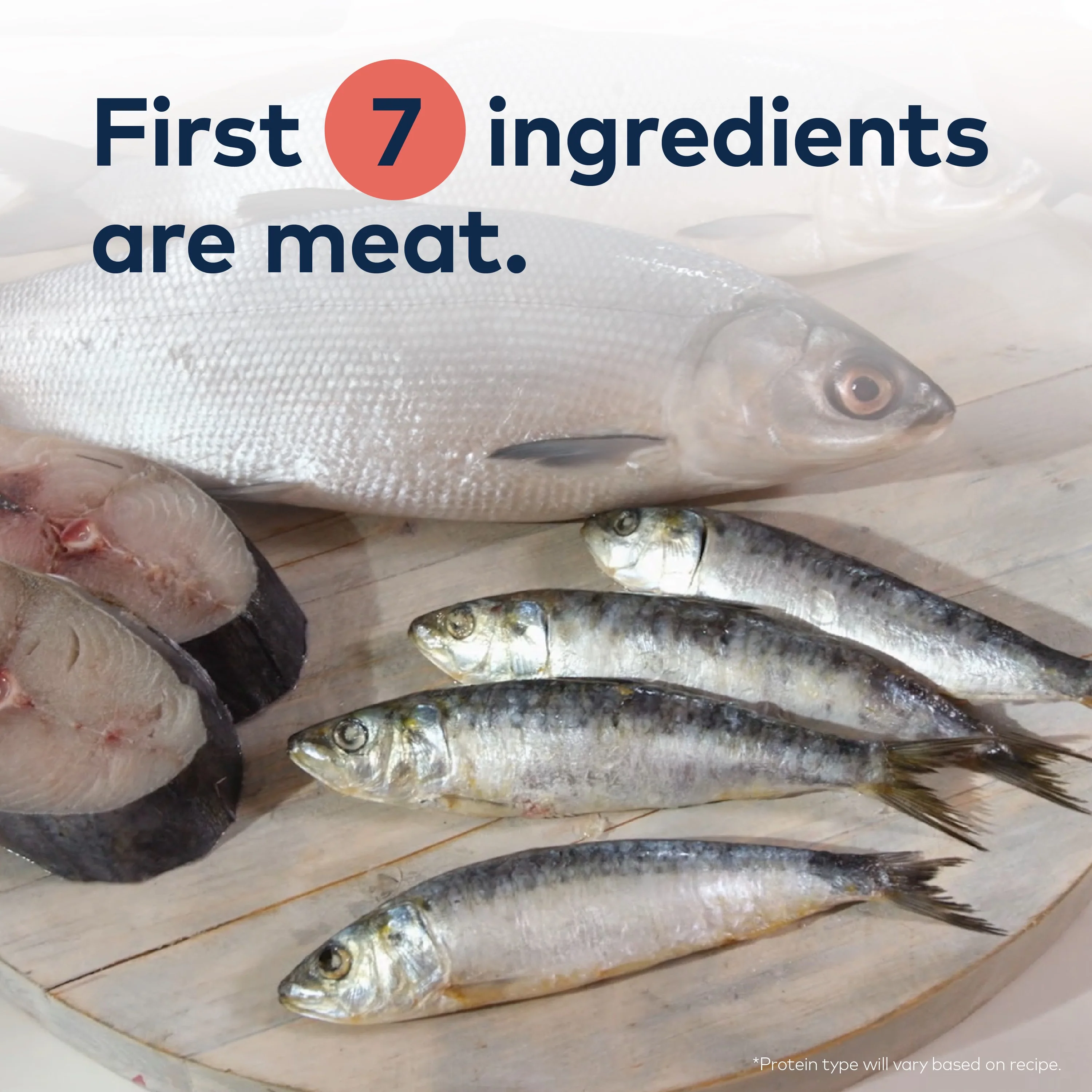 Steam & Dried Cat Food - Wild South Fish – High Protein, Skin & Coat Health, Low Carb, for All Life Stages - Image 6