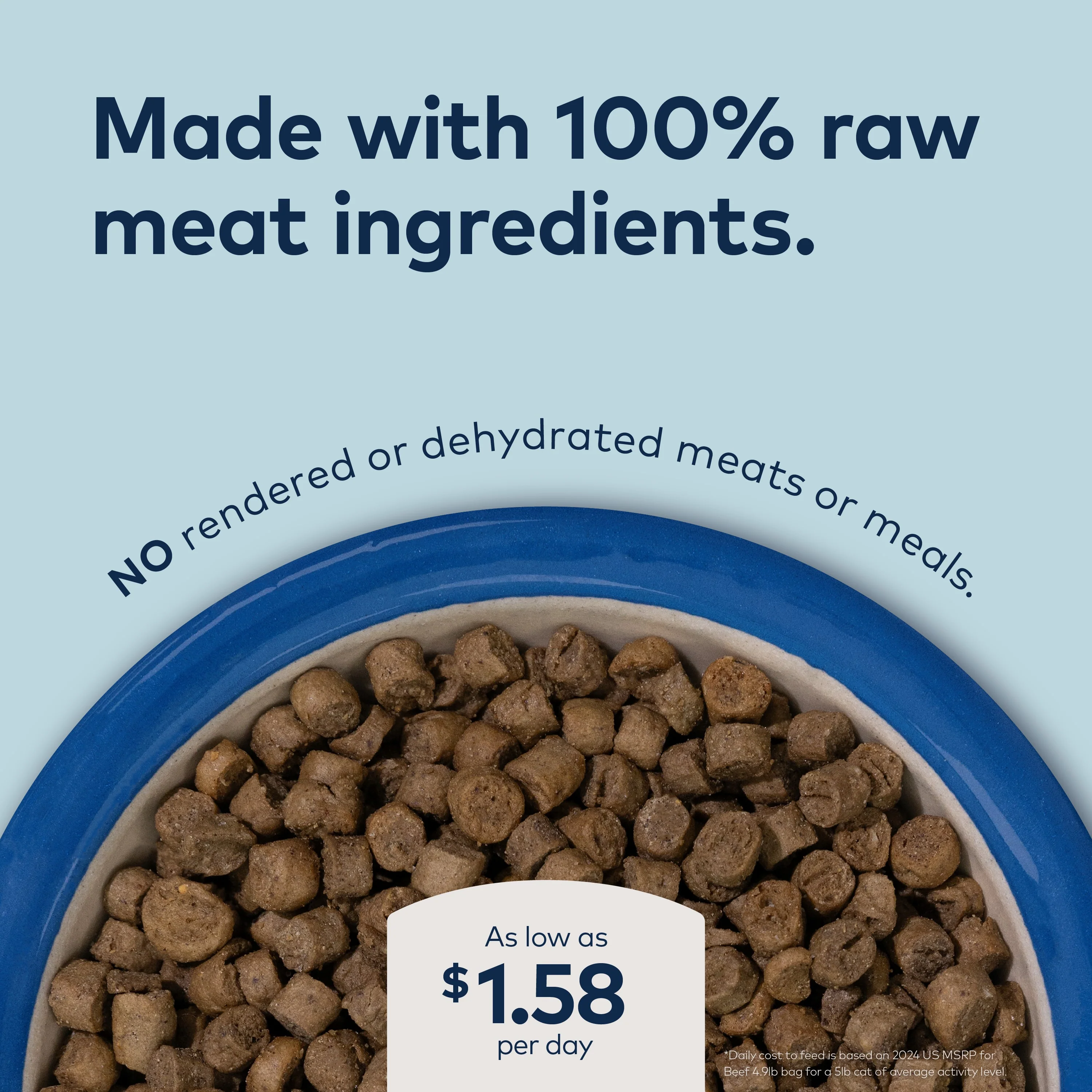 Steam & Dried Cat Food - Wild South Fish – High Protein, Skin & Coat Health, Low Carb, for All Life Stages - Image 7