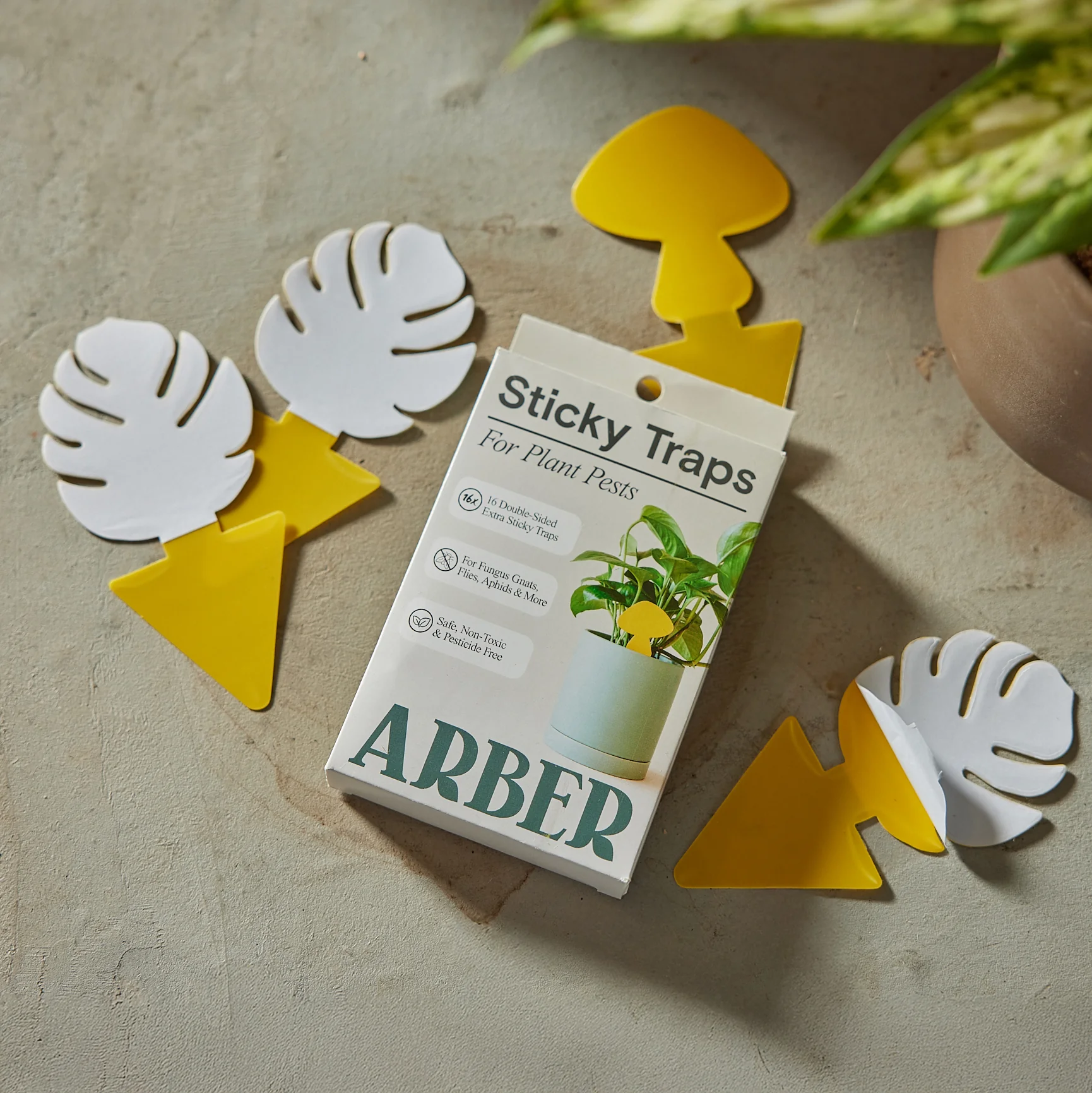 Sticky Traps to Trap Indoor and Greenhouse Pests - Image 6
