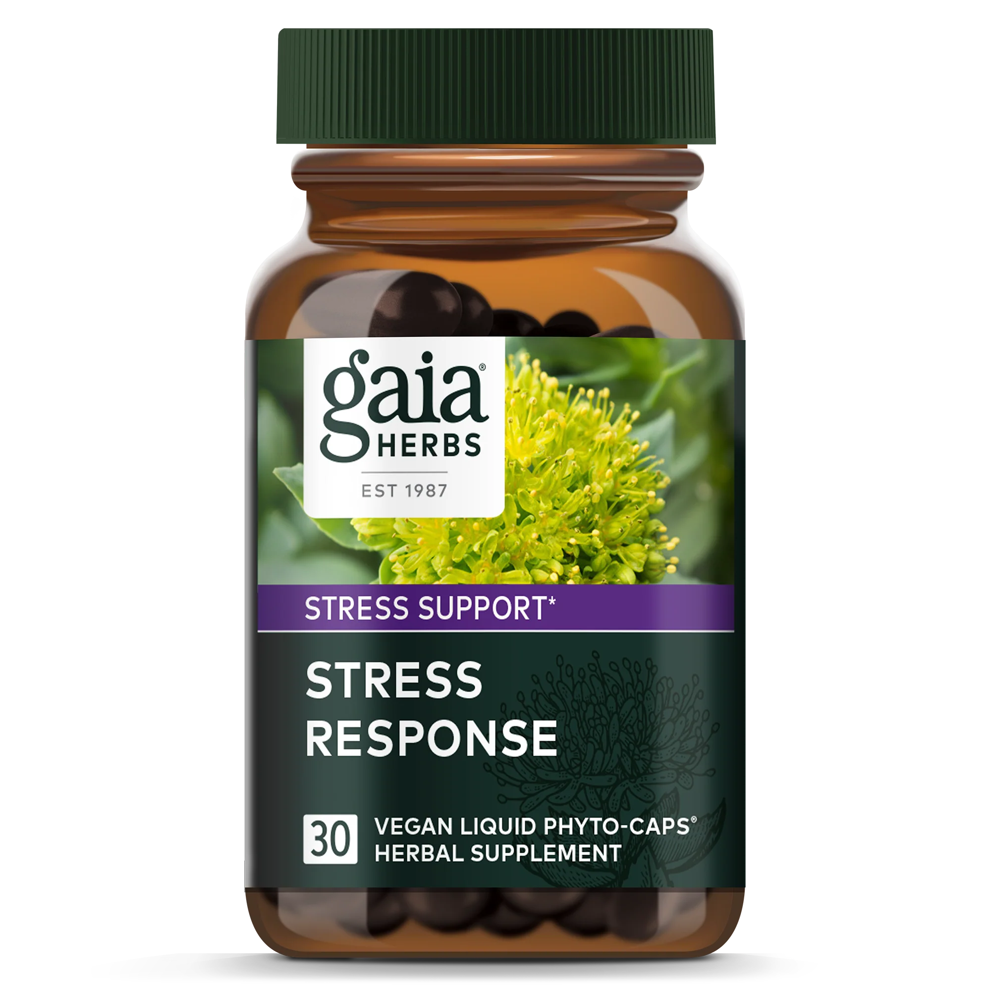 Stress Response - Image 3