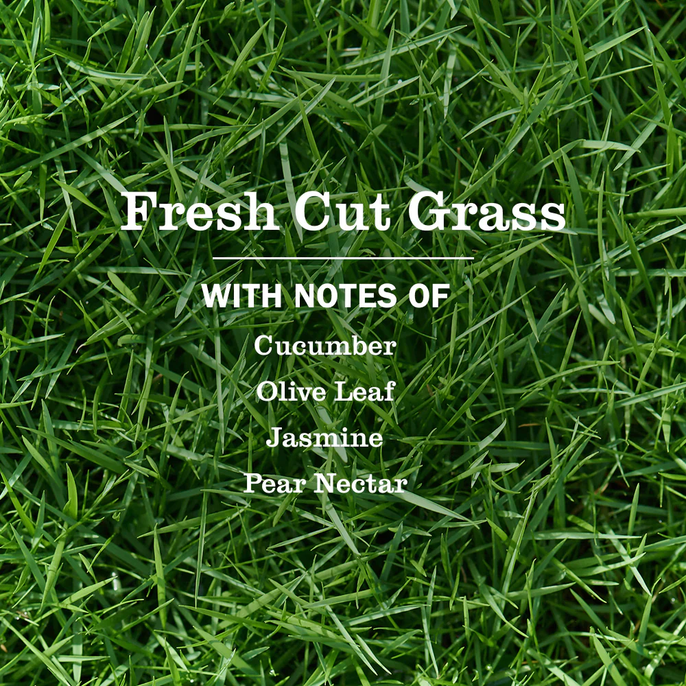 Room Freshener - Image 104