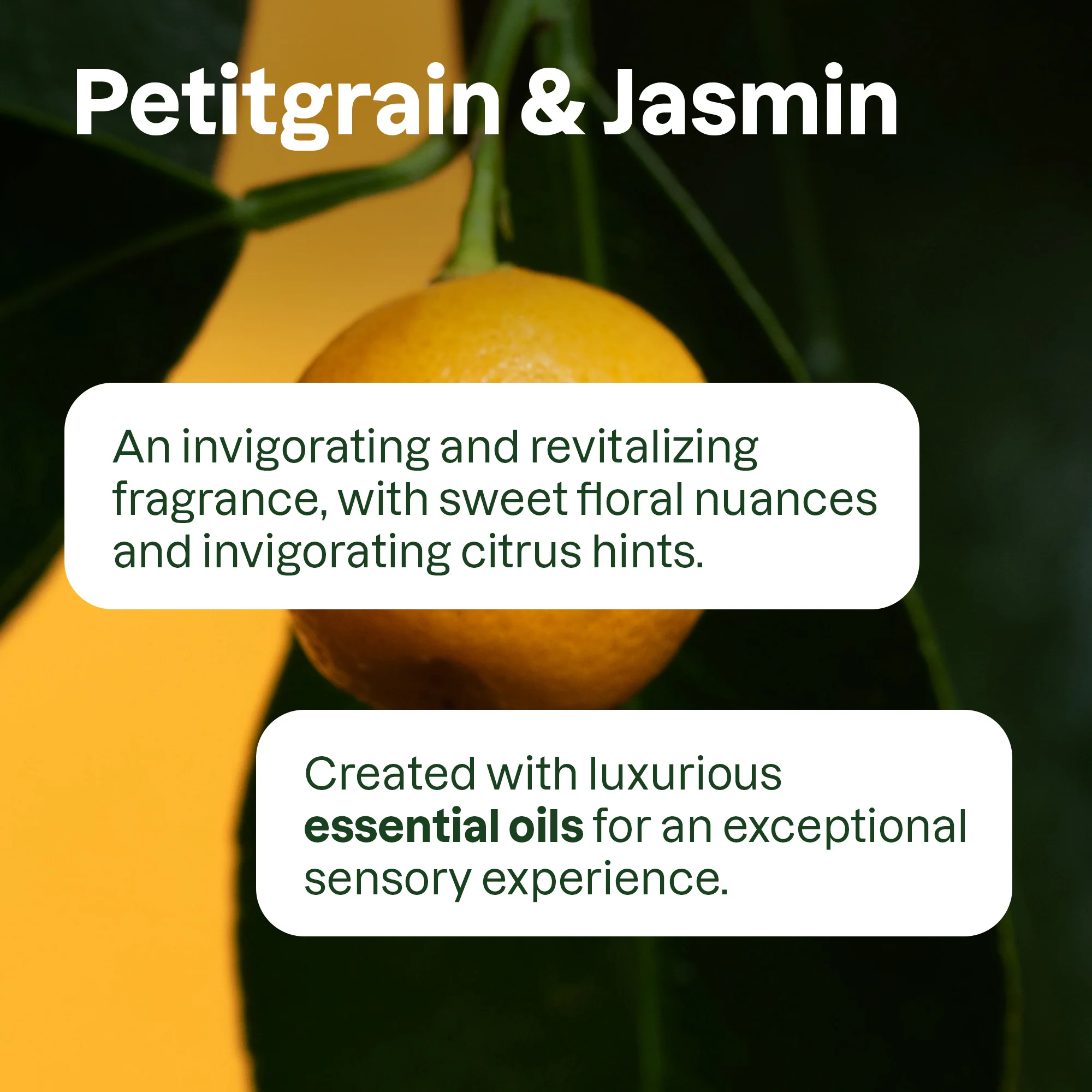 super leaves essential oils Conditioner Volumizing - Image 5