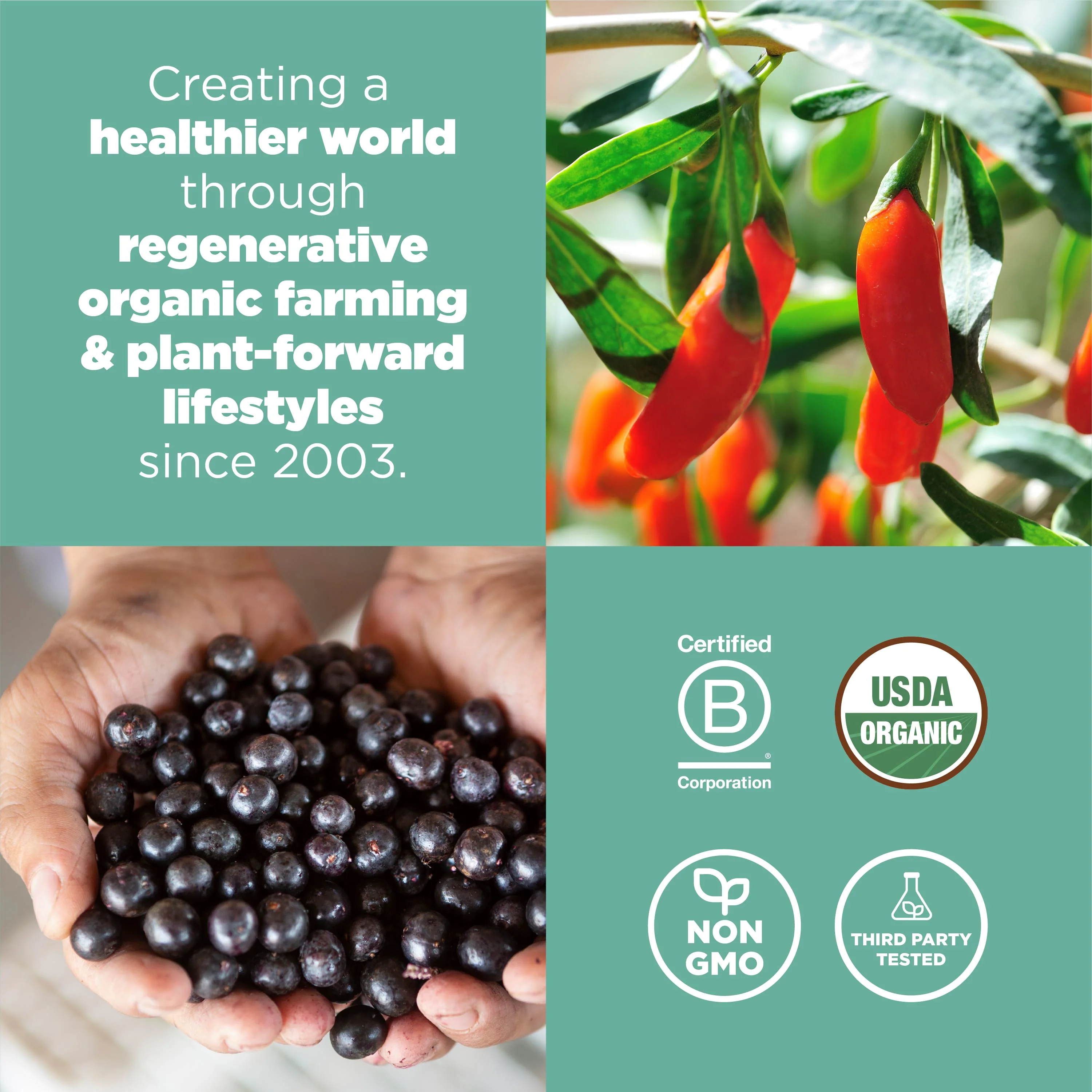 Organic Superfood+ Berry Blend - Image 7