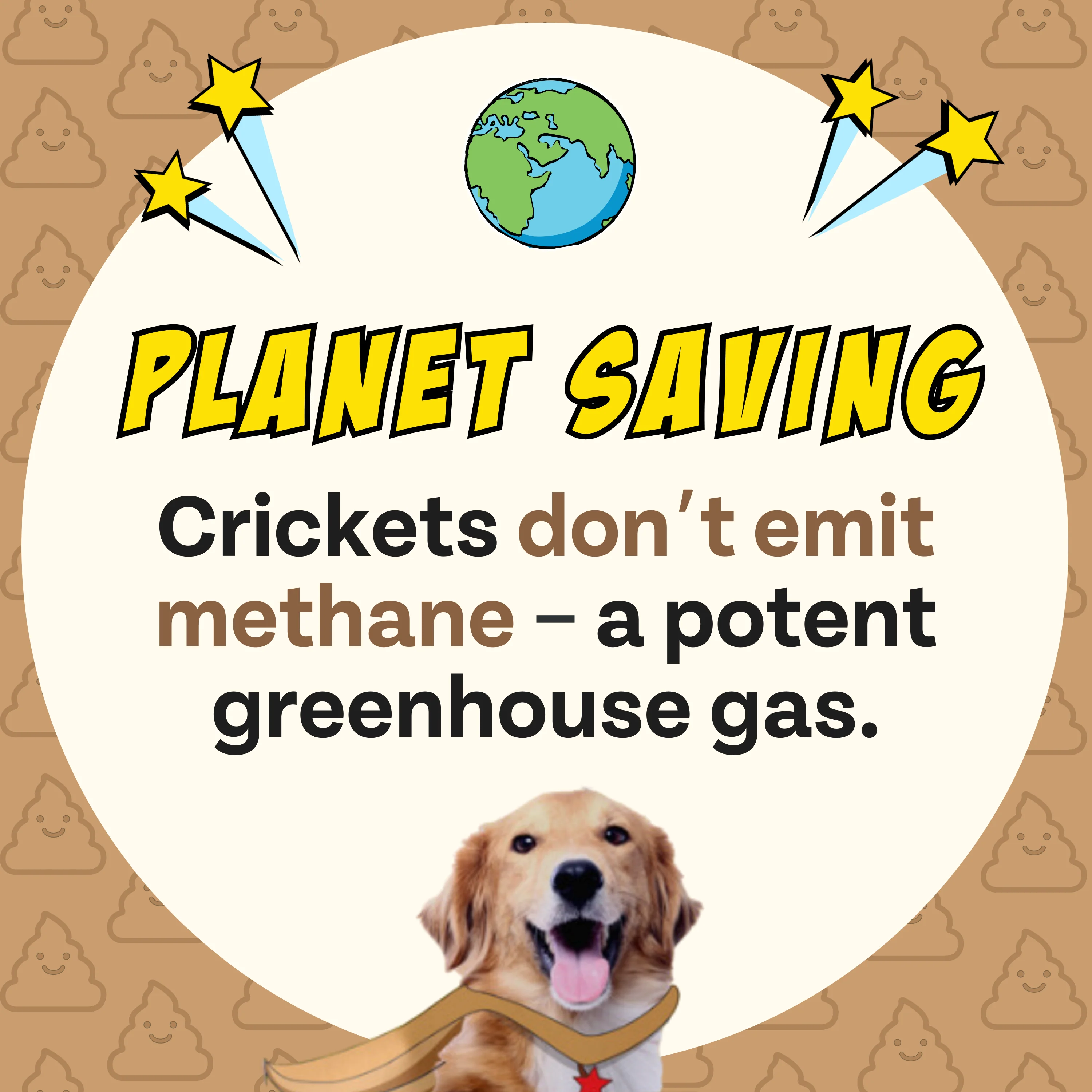 Superfood Cricket & Peanut Butter Dog Treats - Image 12