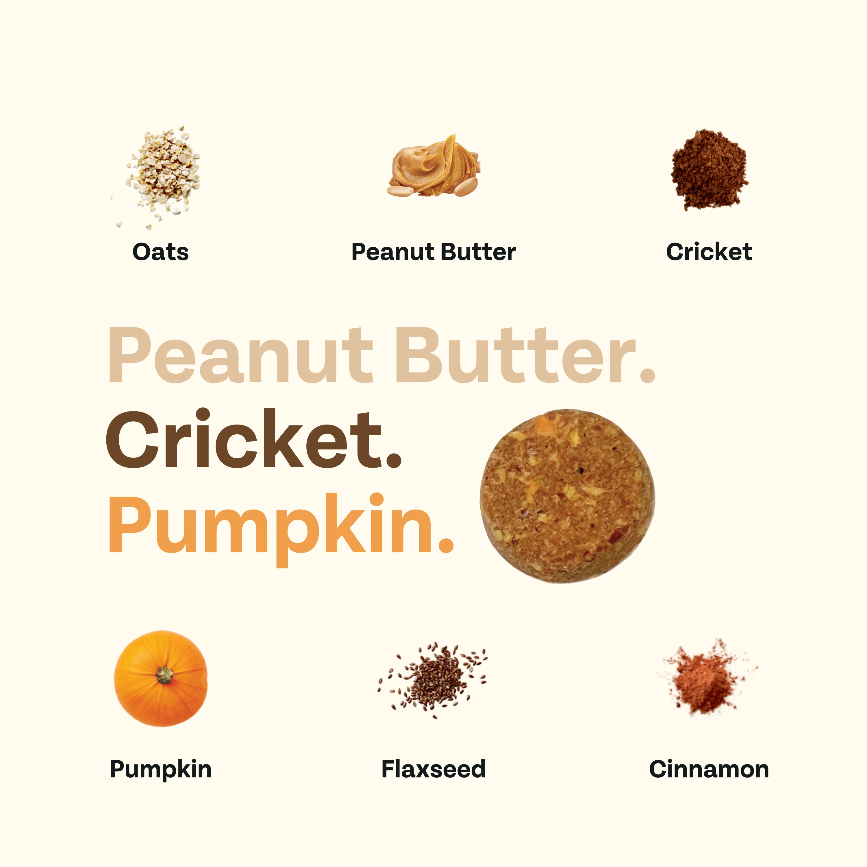 Superfood Cricket & Peanut Butter Dog Treats - Image 14