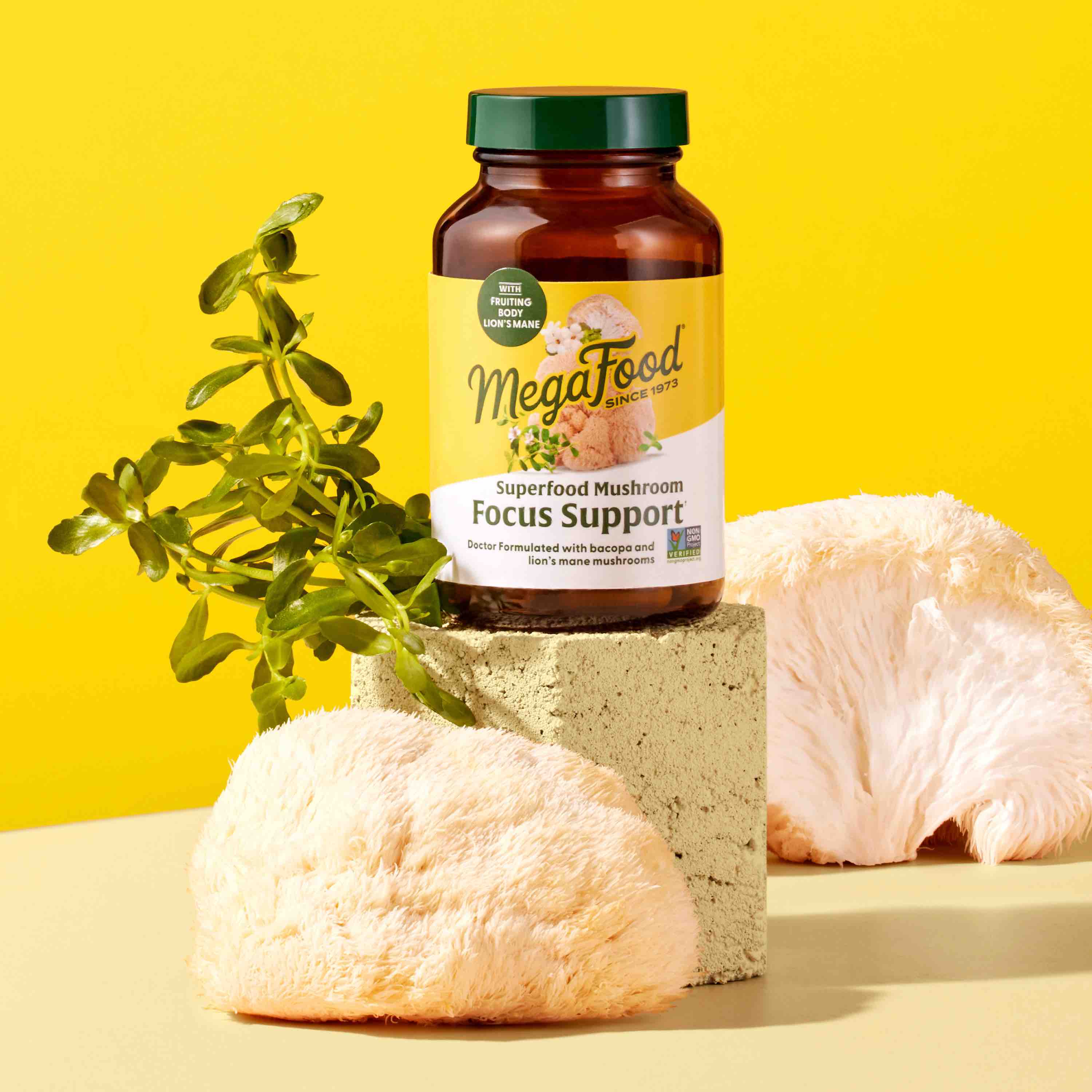 Superfood Mushroom - Focus Support - Image 3