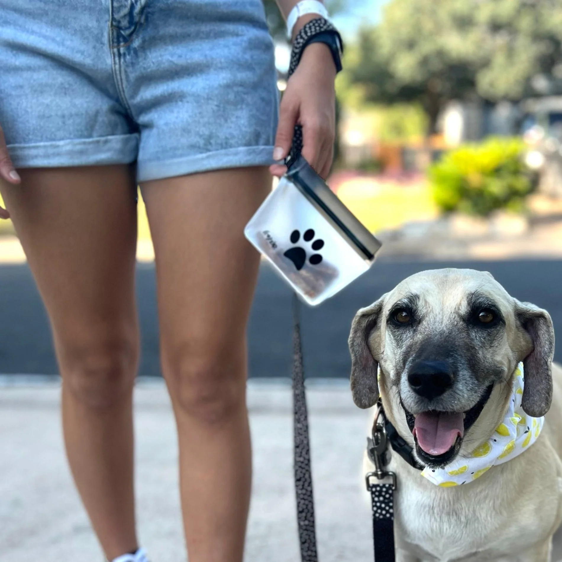 Take Me Too Pet Bag + Carabiner - Image 3
