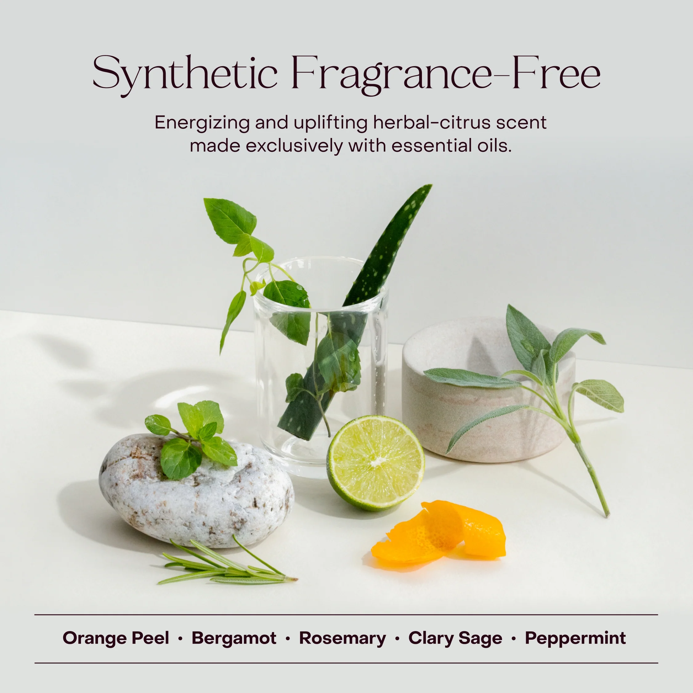 The Haircare Meets Skincare Set - Image 10