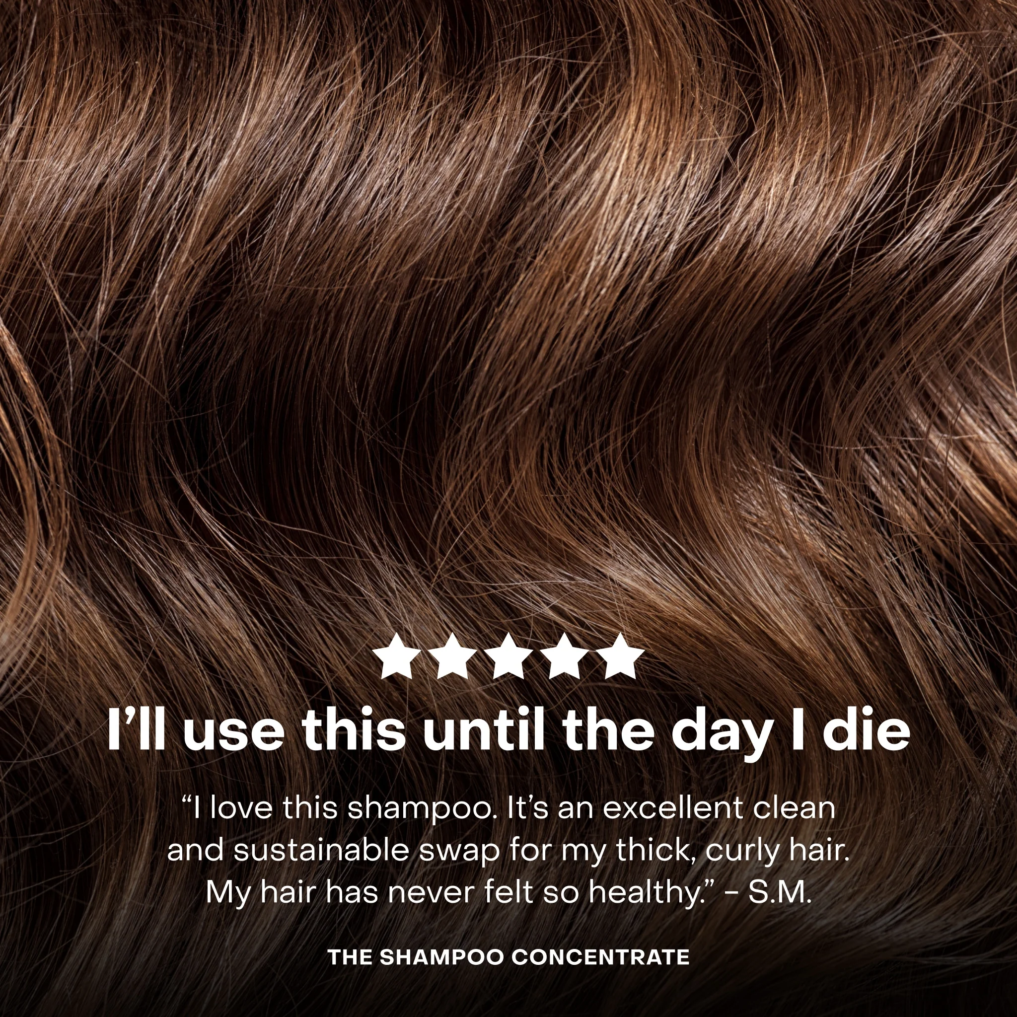 The Shampoo Concentrate Tin - Image 10