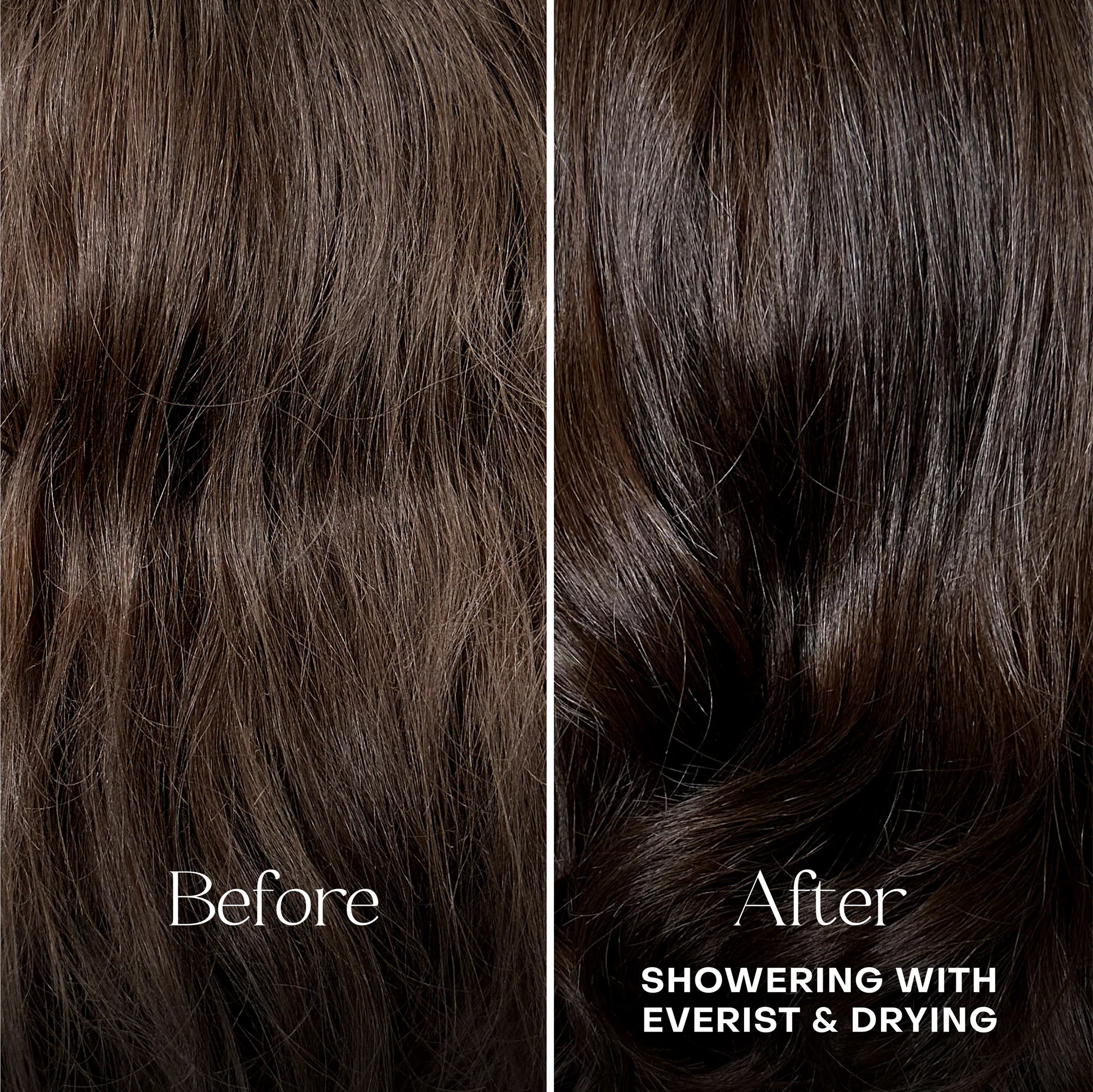 The Shampoo Concentrate - Image 6