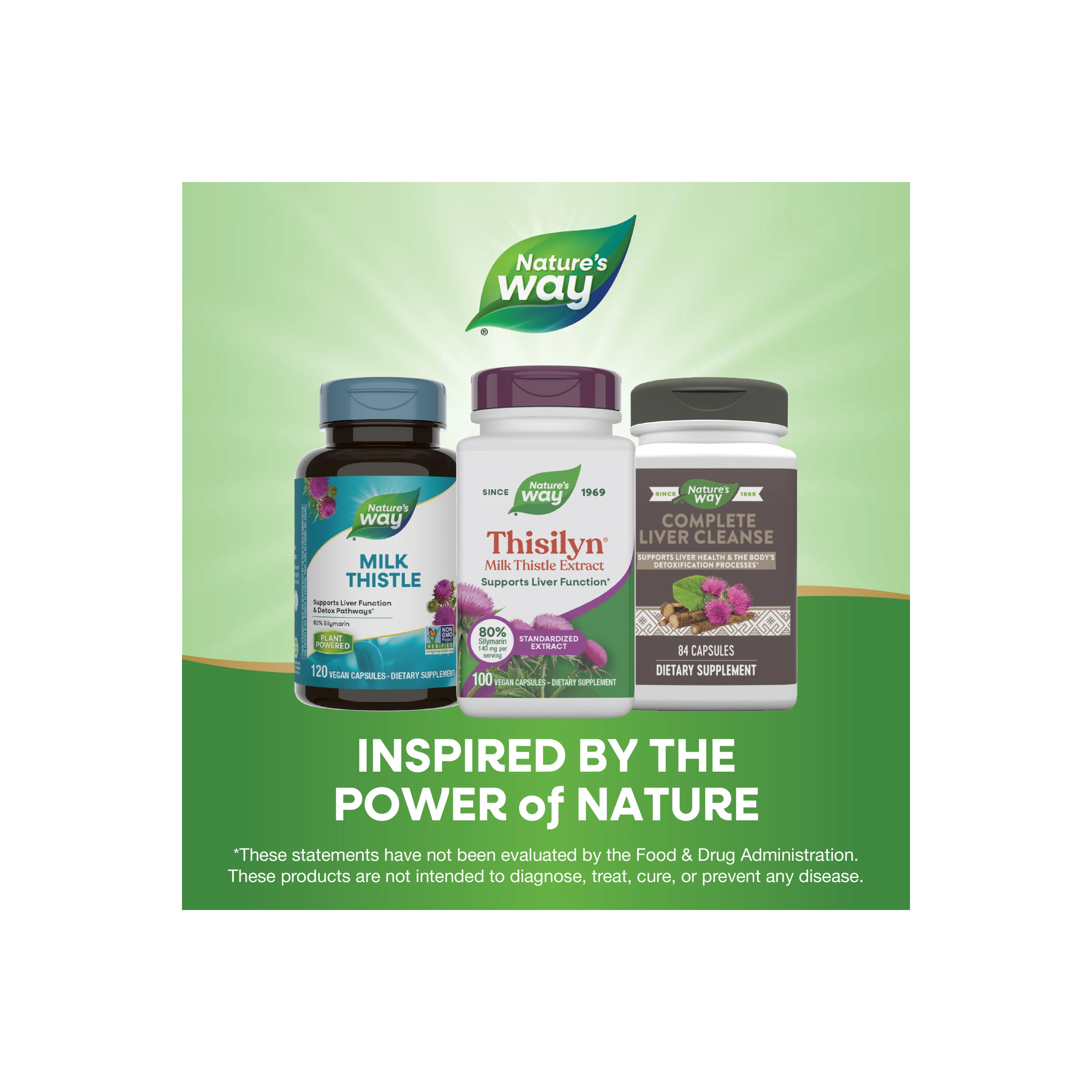 Thisilyn® Milk Thistle Extract - Image 5
