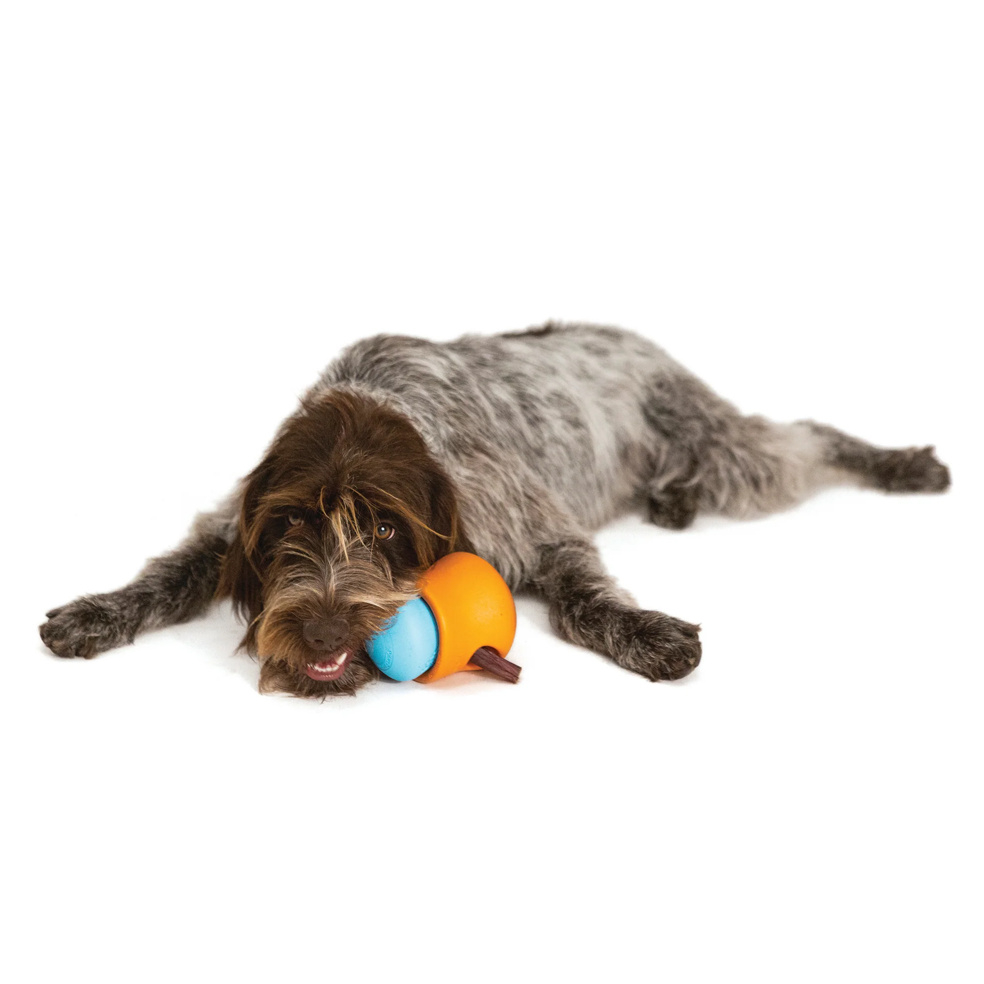 Toppl™ Treat Dispenser Dog Toy to Promote Mental Stimulation and Slow Eating - Large - Image 6