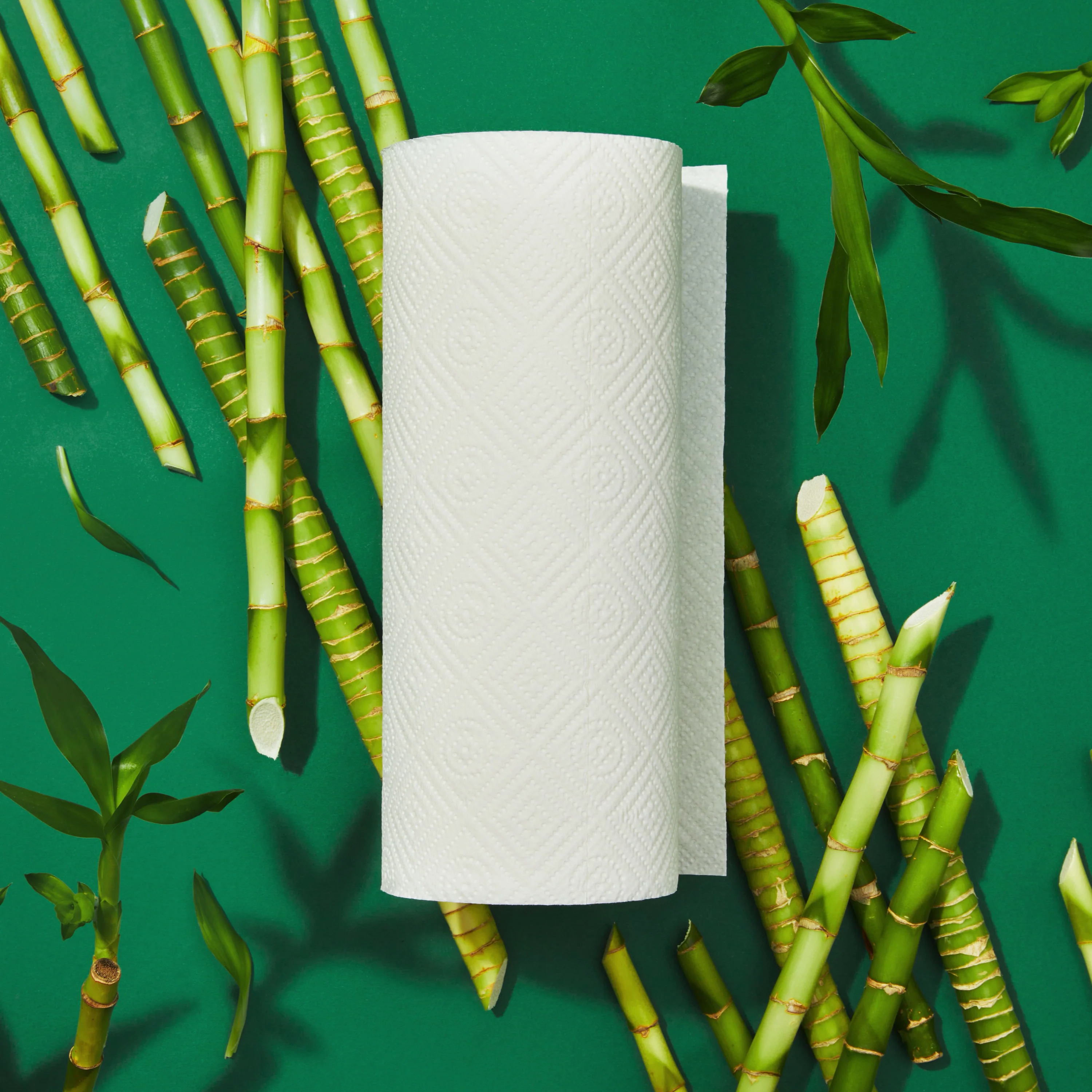 2-Ply Bamboo Paper Towels (140 sheets per roll) - Image 9
