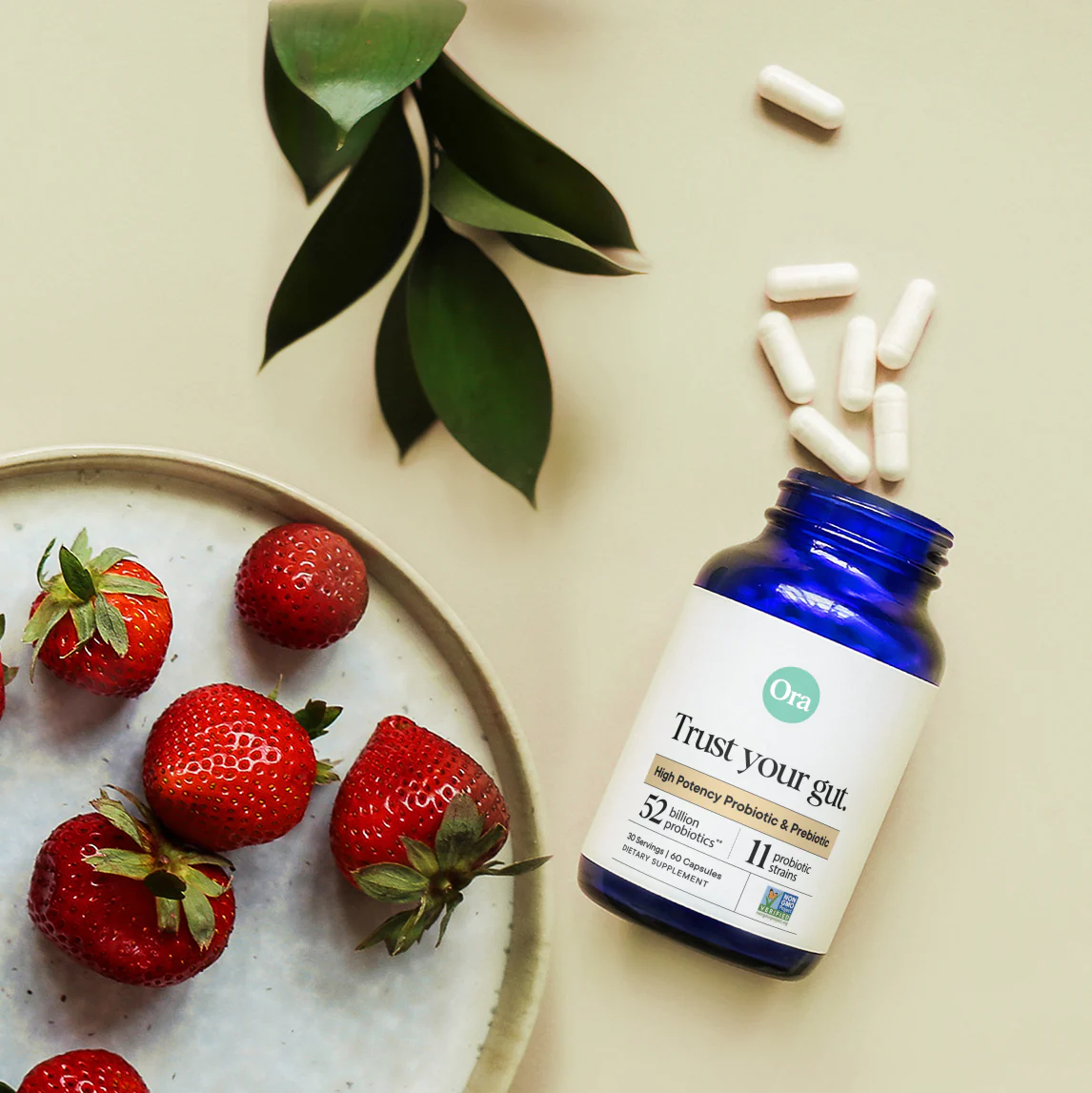 Trust Your Gut: High Potency Pre + Probiotic - Image 4