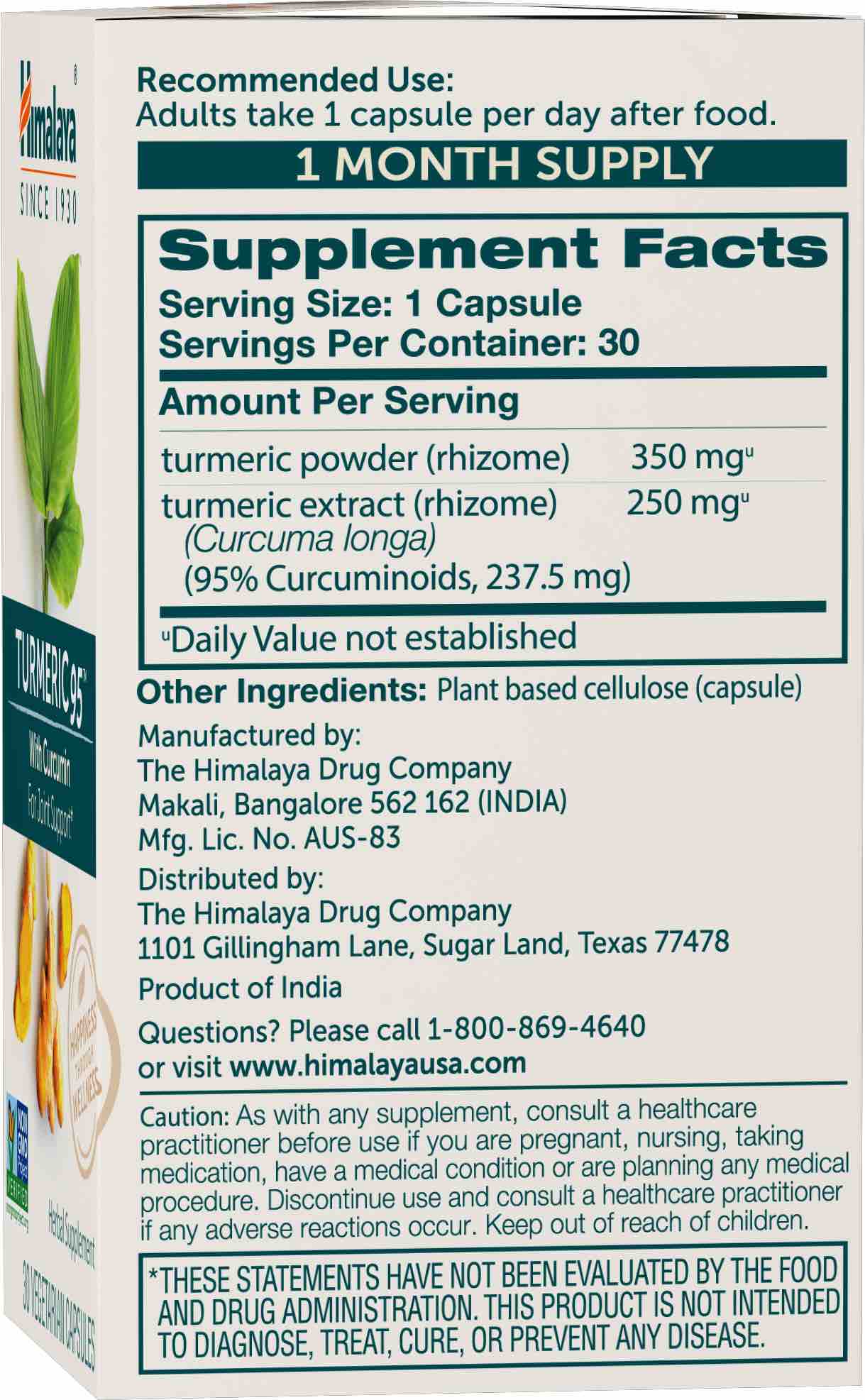 Tumeric - Image 2