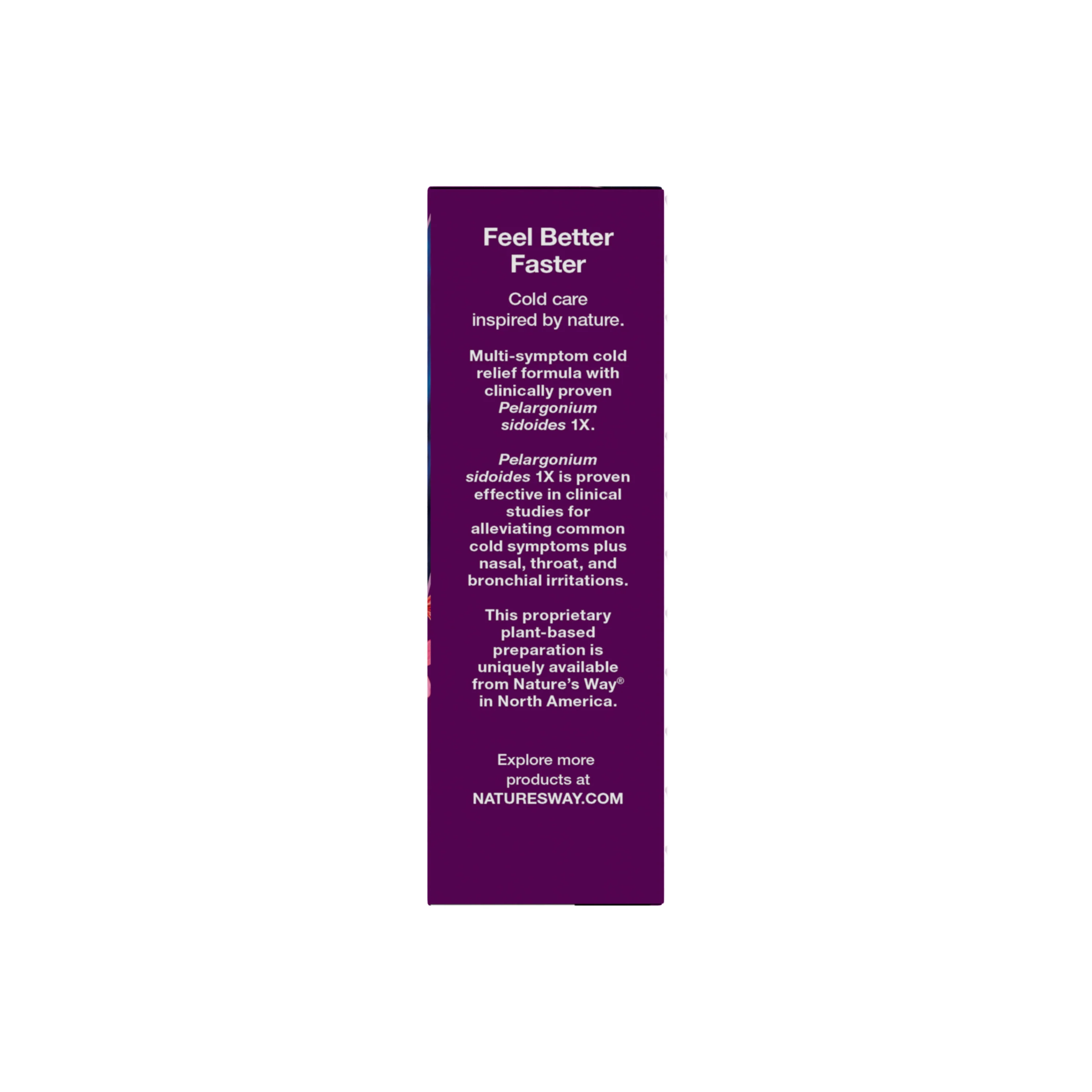 Umcka® Cold Relief Hot Drink - Image 12