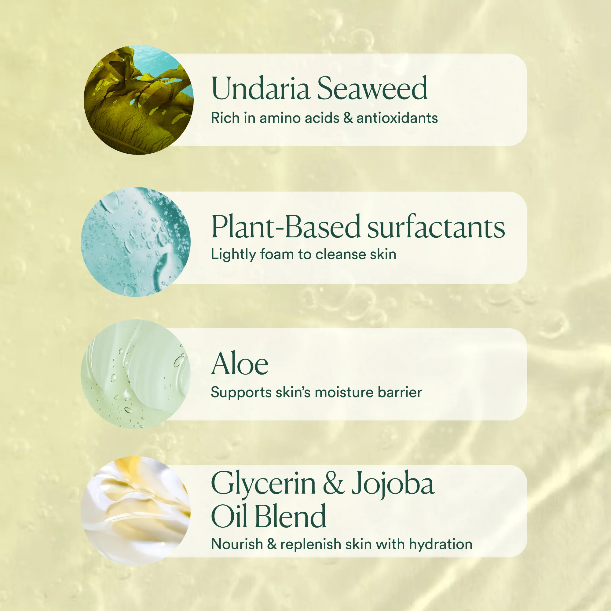 Undaria Algae™ Body Wash - Image 8