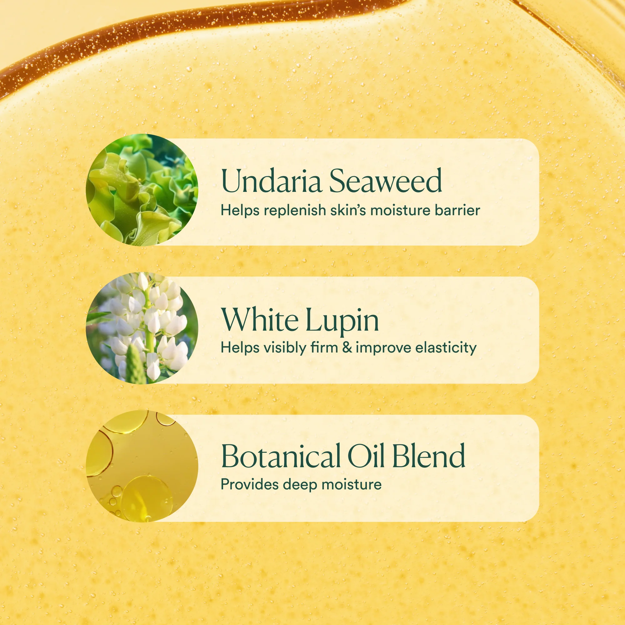 Undaria Algae™ Body Oil - Image 19