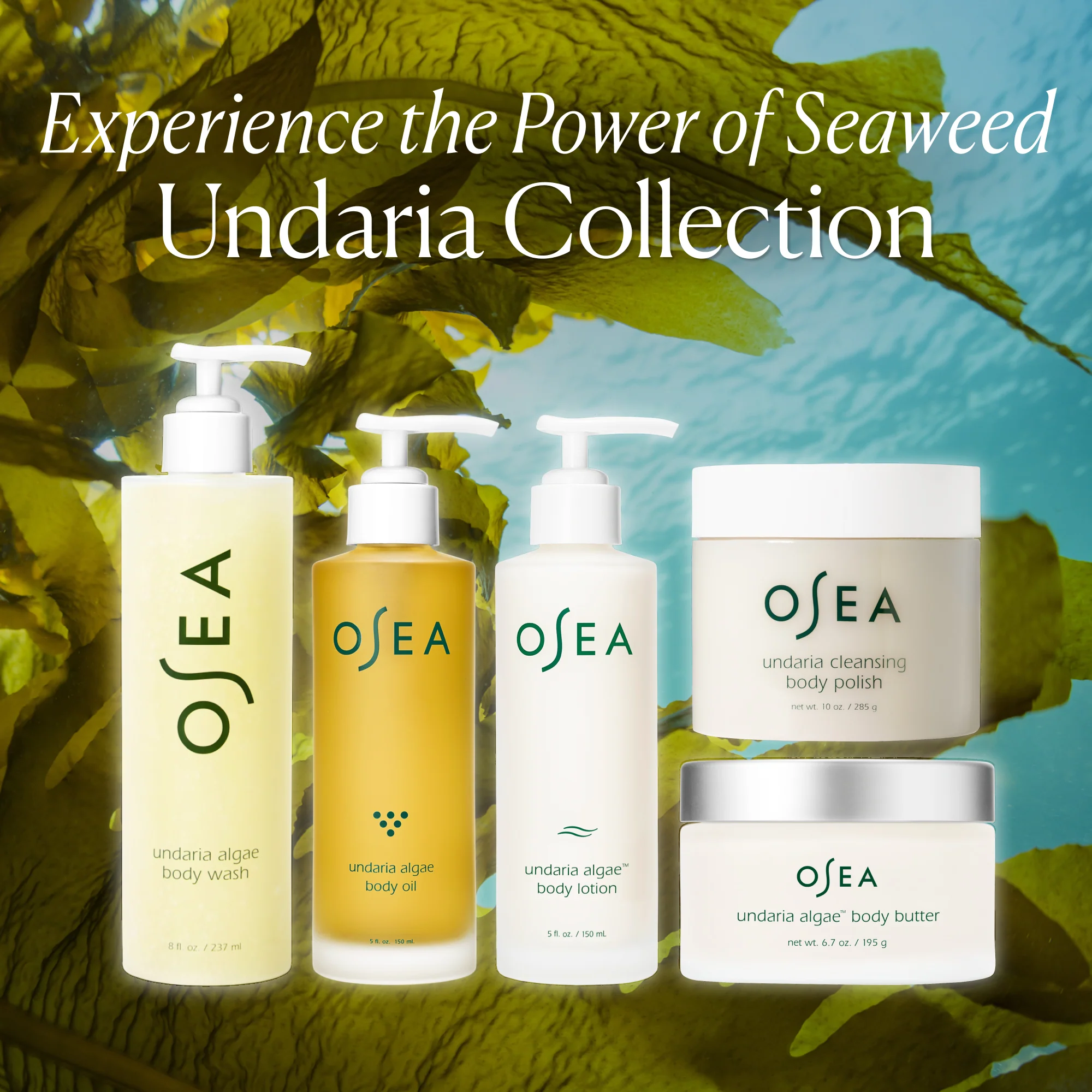Undaria Algae™ Body Oil - Image 20