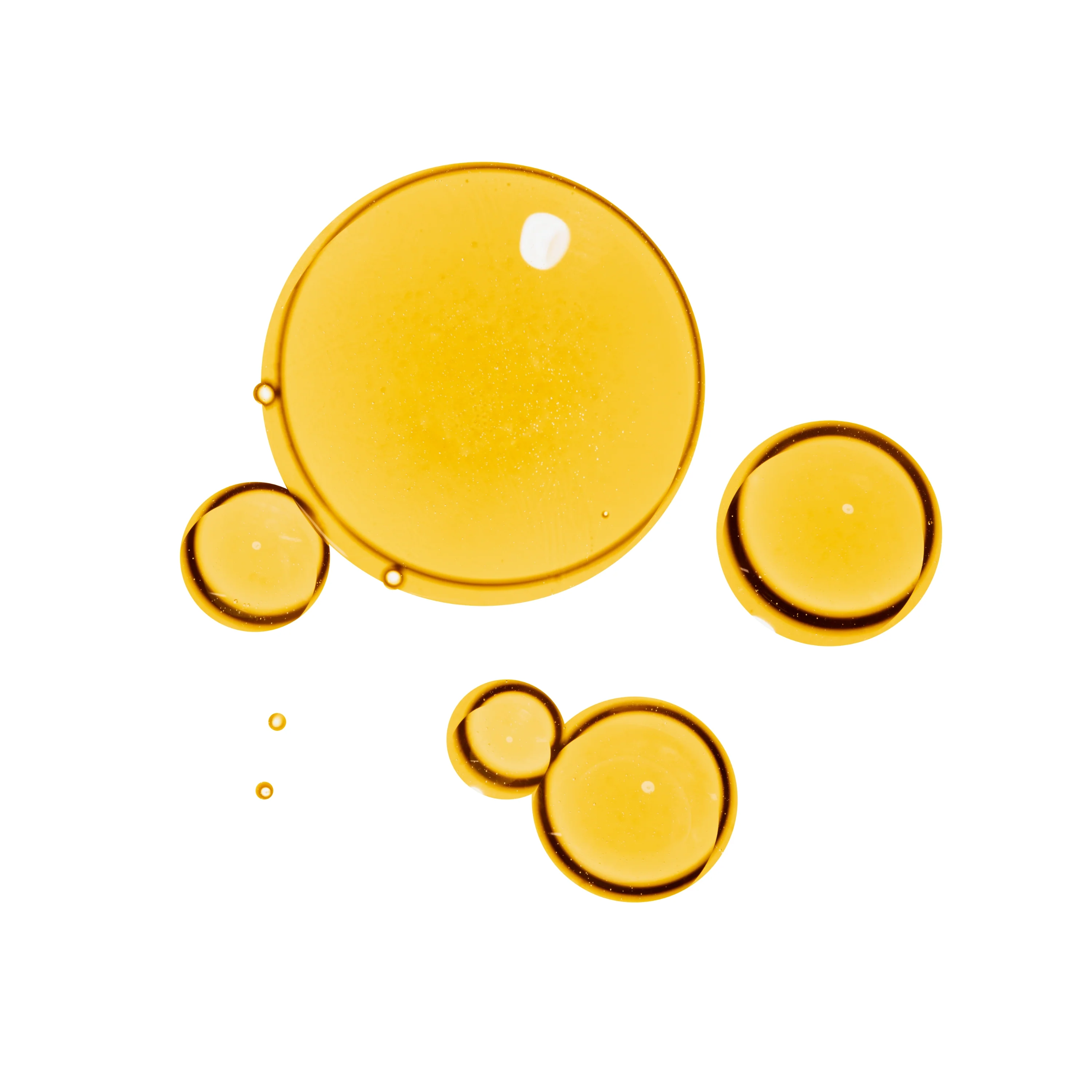 Undaria Algae™ Body Oil - Image 5
