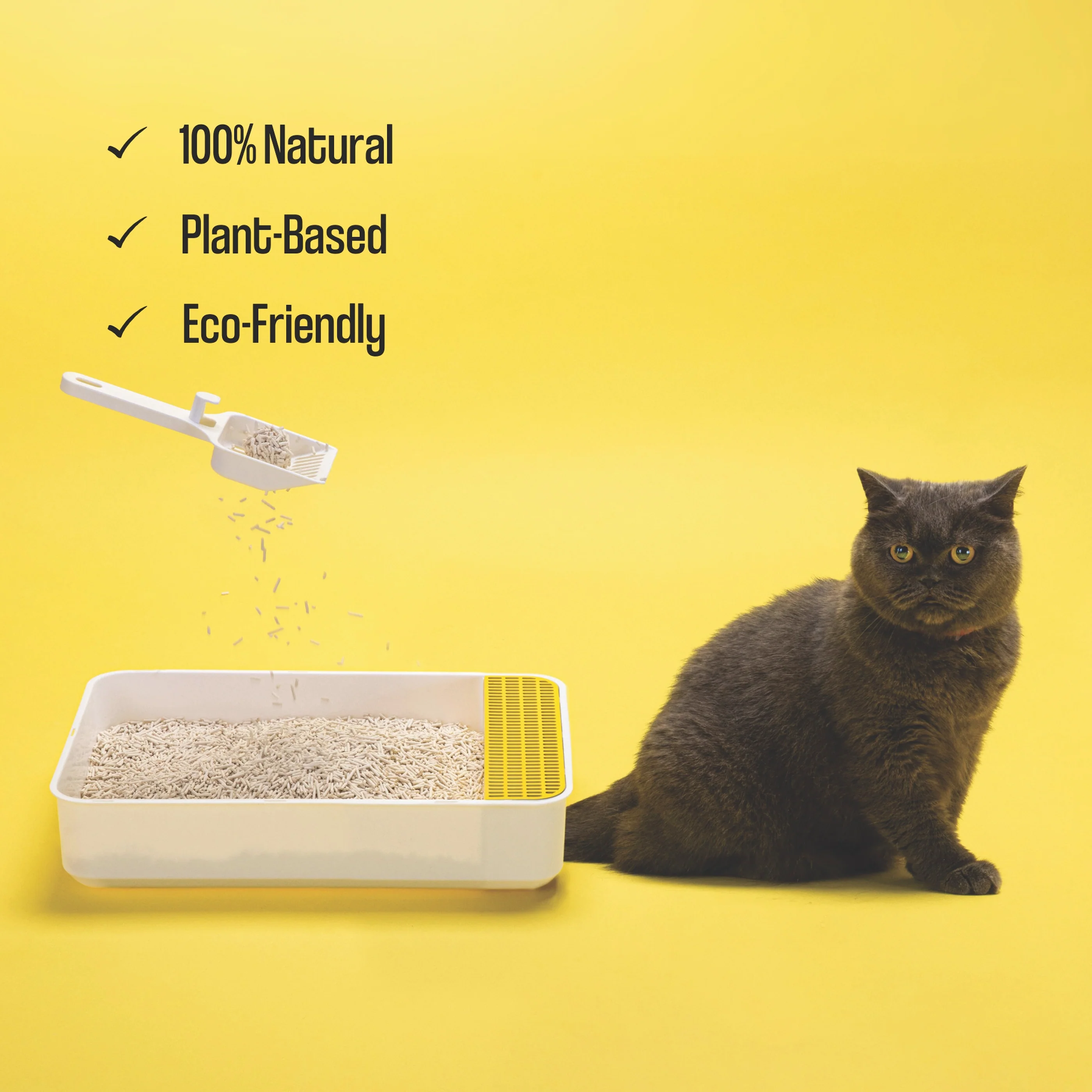 Upcycled Tofu Cat Litter - Image 7
