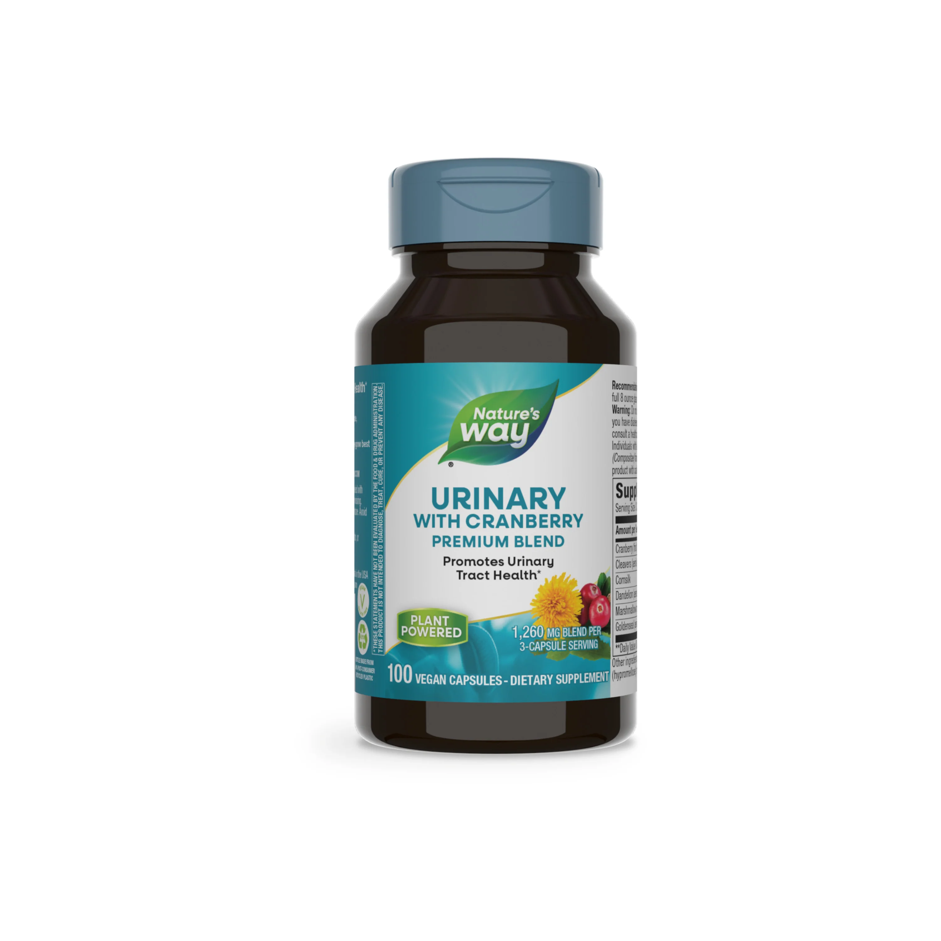Urinary - Image 6