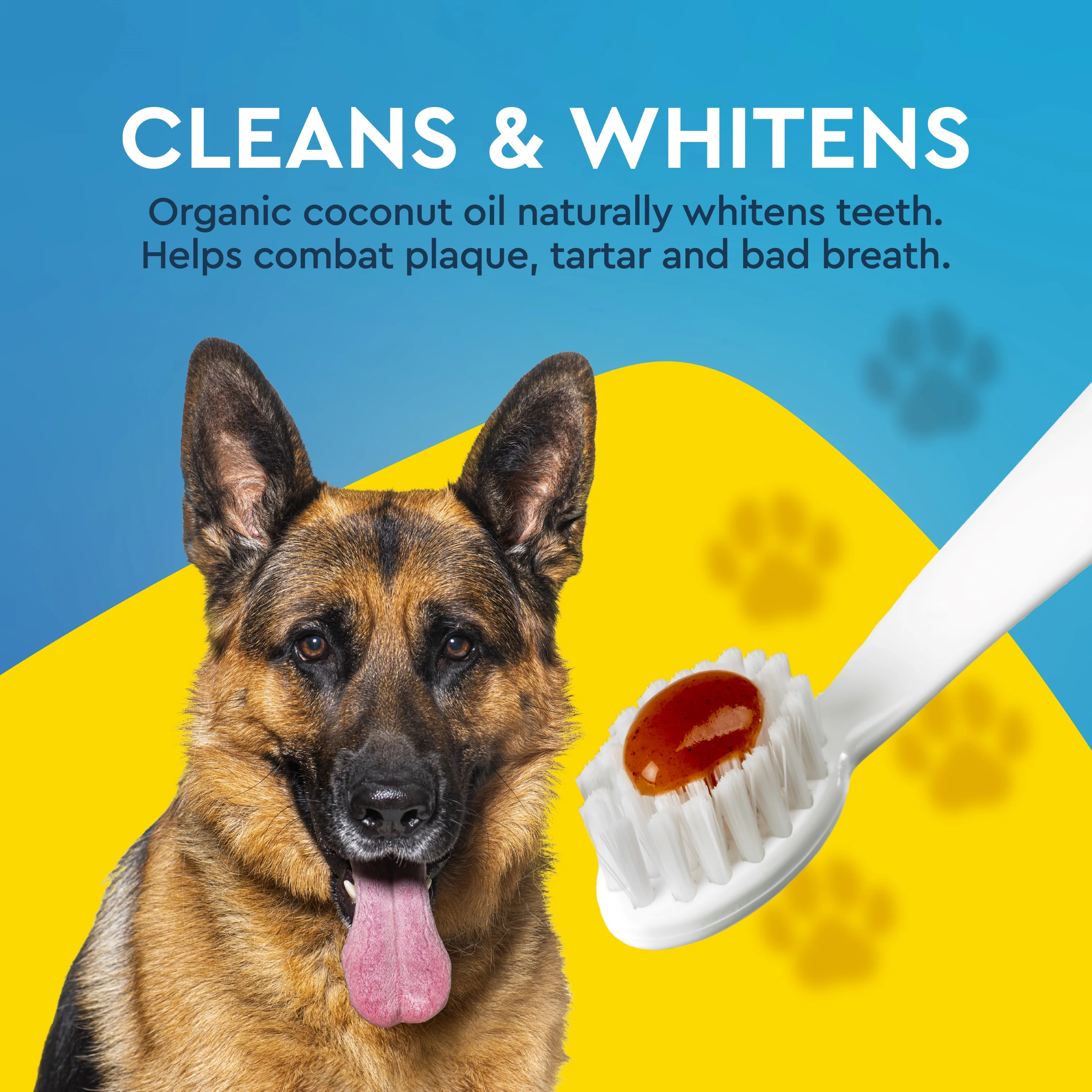 USDA Organic Canine Toothpaste - Image 5