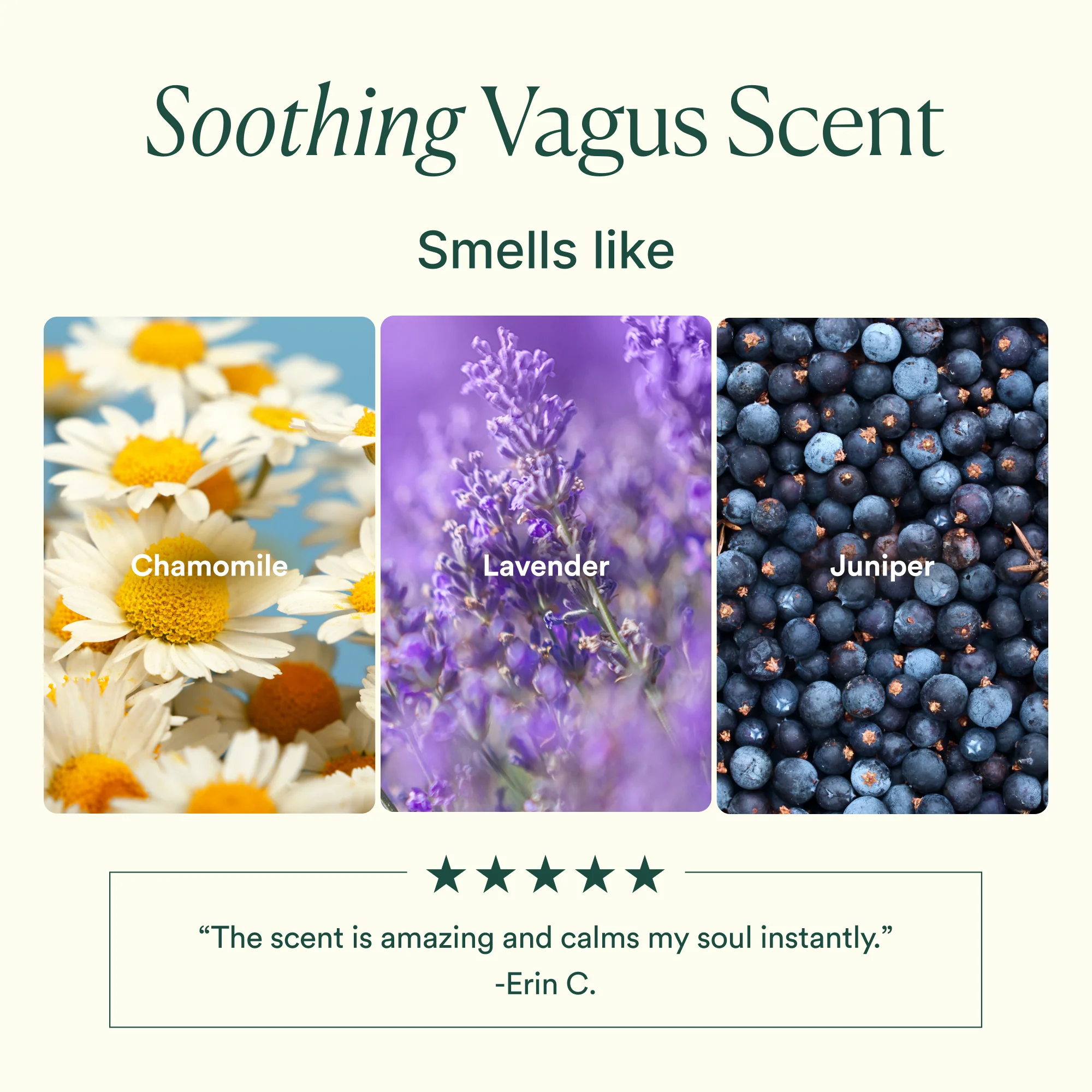 Vagus Nerve Oil - Image 6