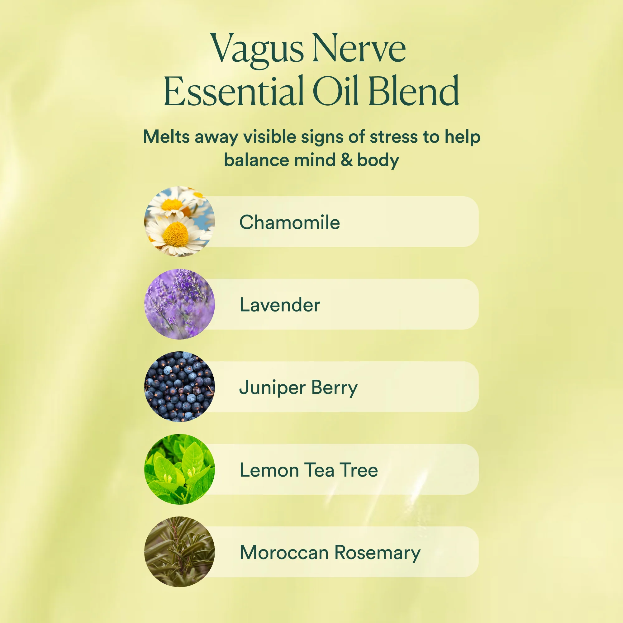 Vagus Nerve Oil - Image 7