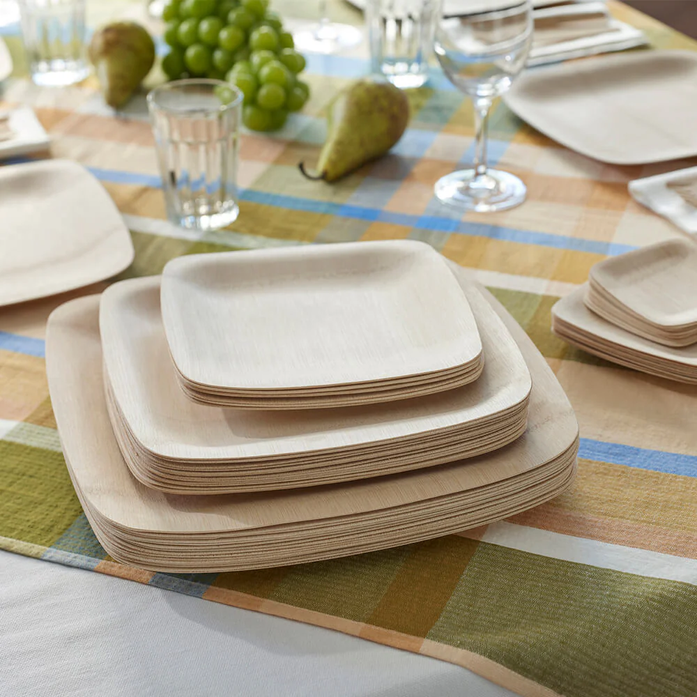 Veneerware 11" Plates - Image 5