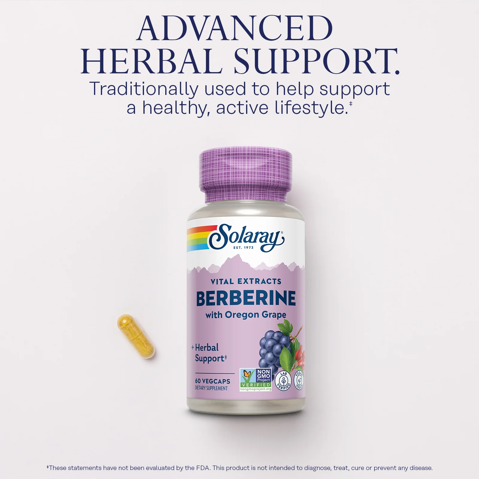 Vital Extracts Berberine from Indian Barberry, 500 mg - Image 3