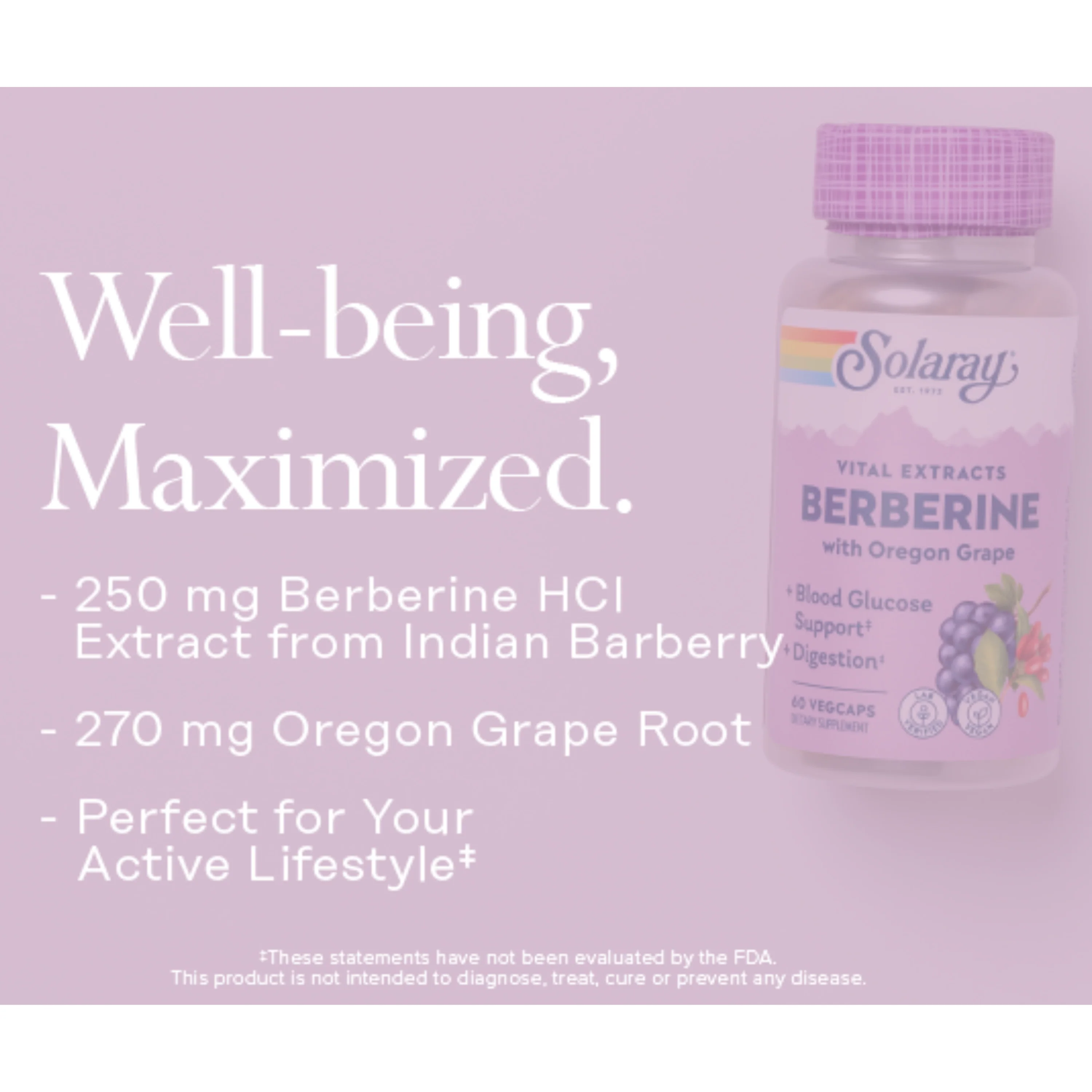 Vital Extracts Berberine from Indian Barberry, 500 mg - Image 5