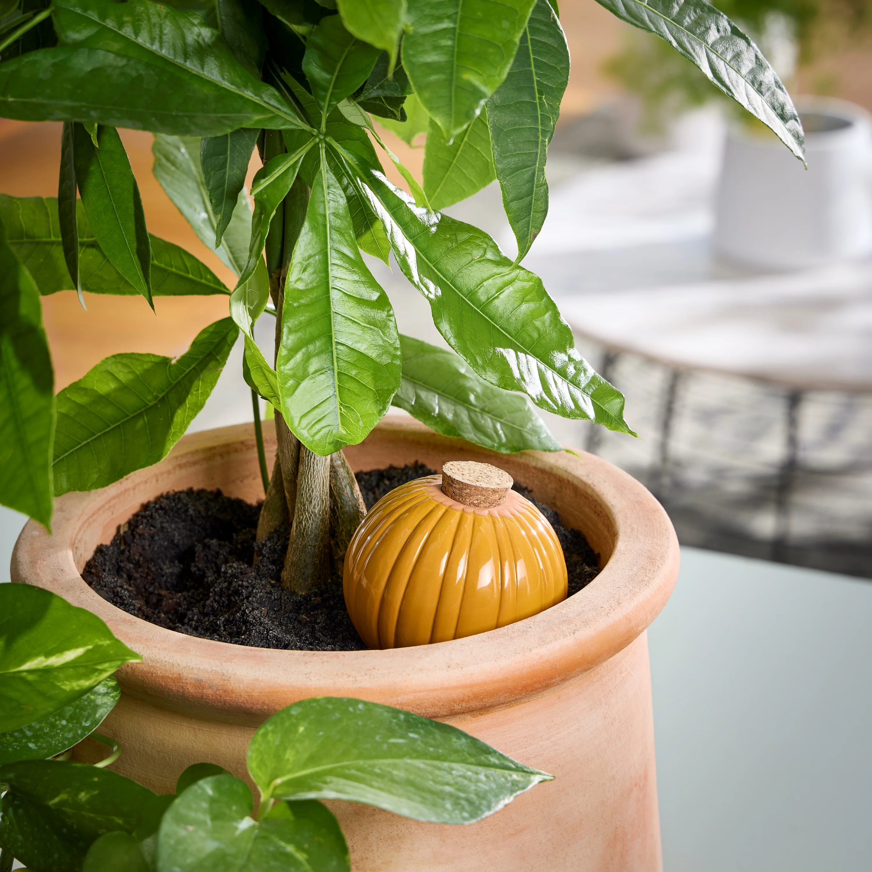 Watering Bulb - Image 10