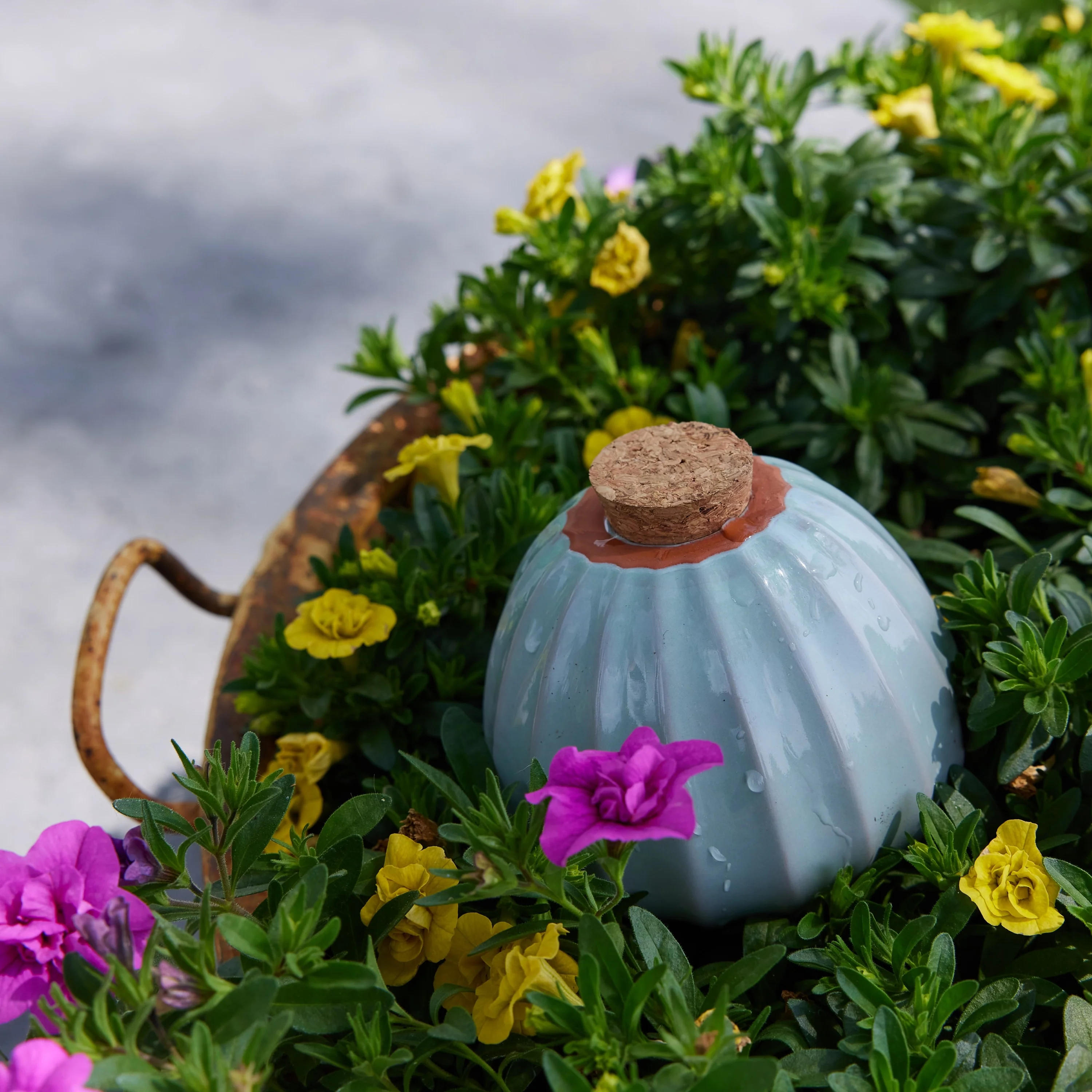 Watering Bulb - Image 22