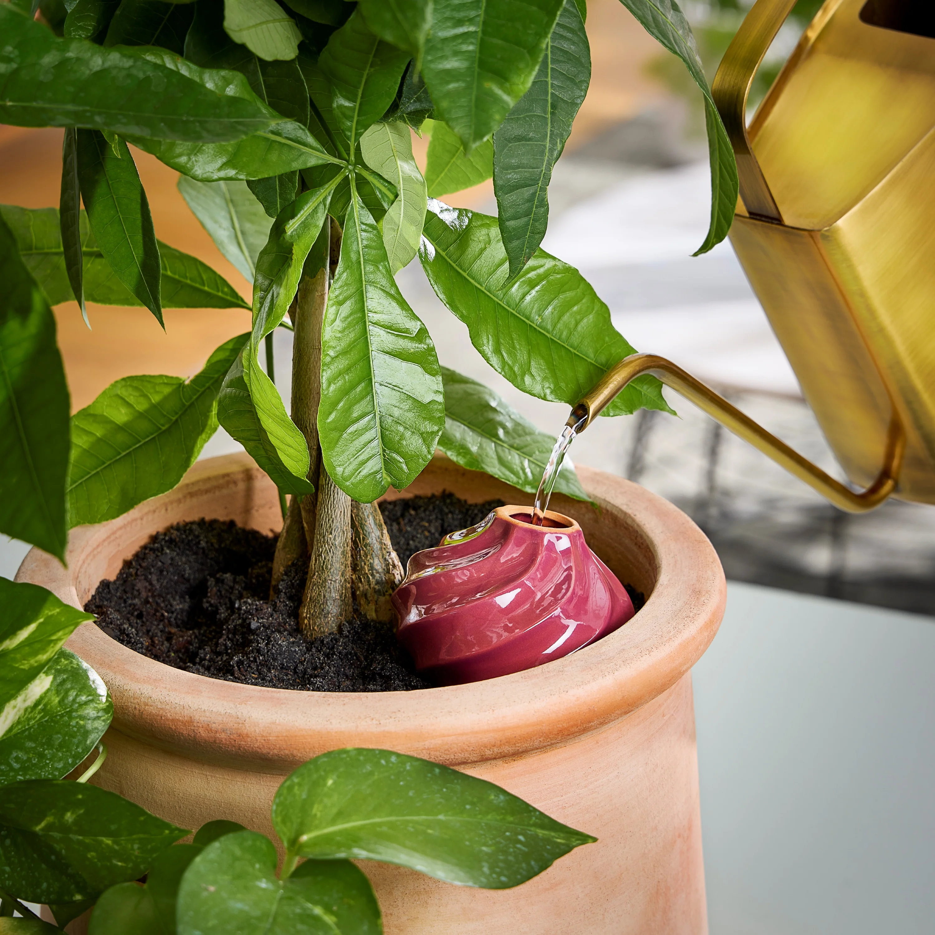 Watering Bulb - Image 5