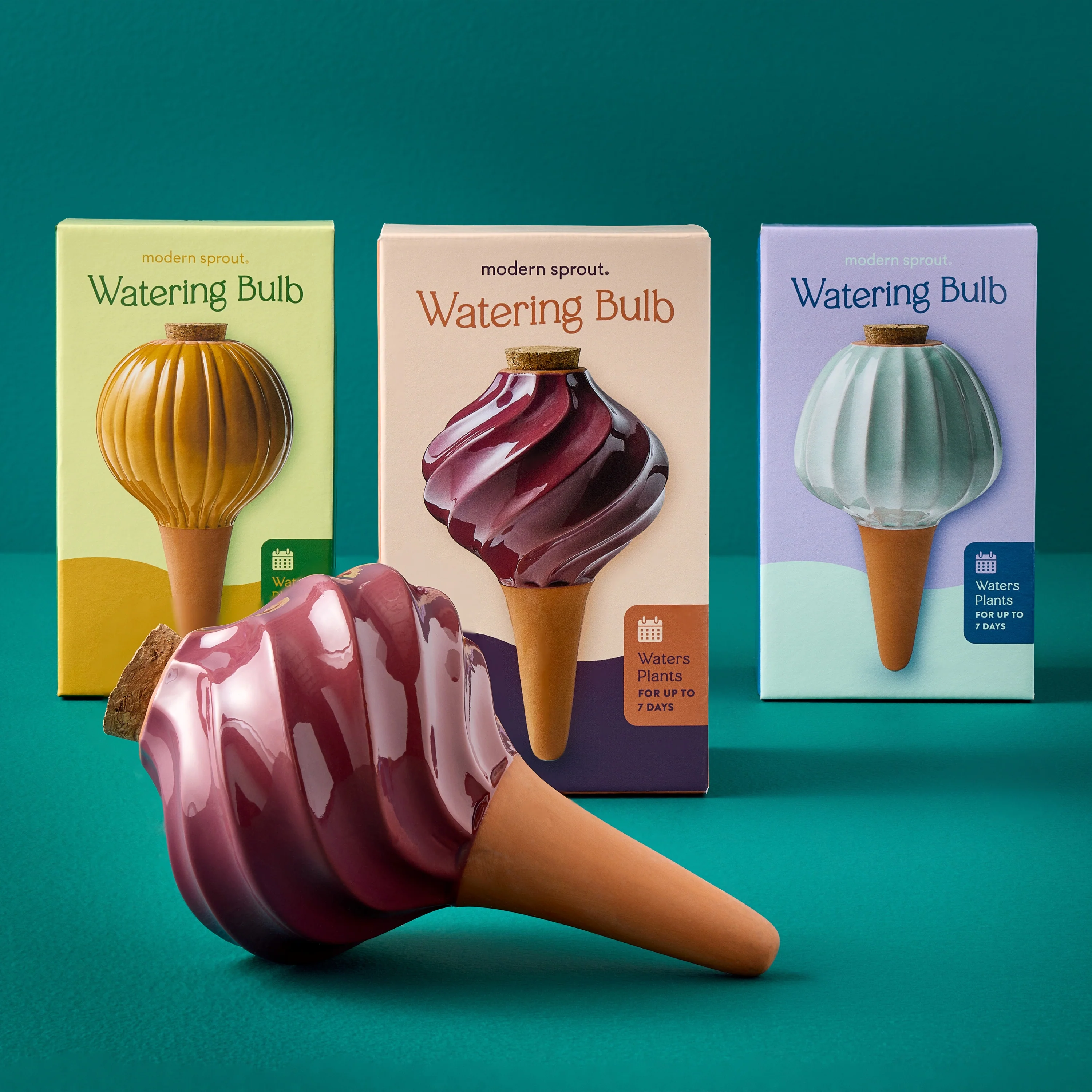 Watering Bulbs, Variety Pack - Image 2