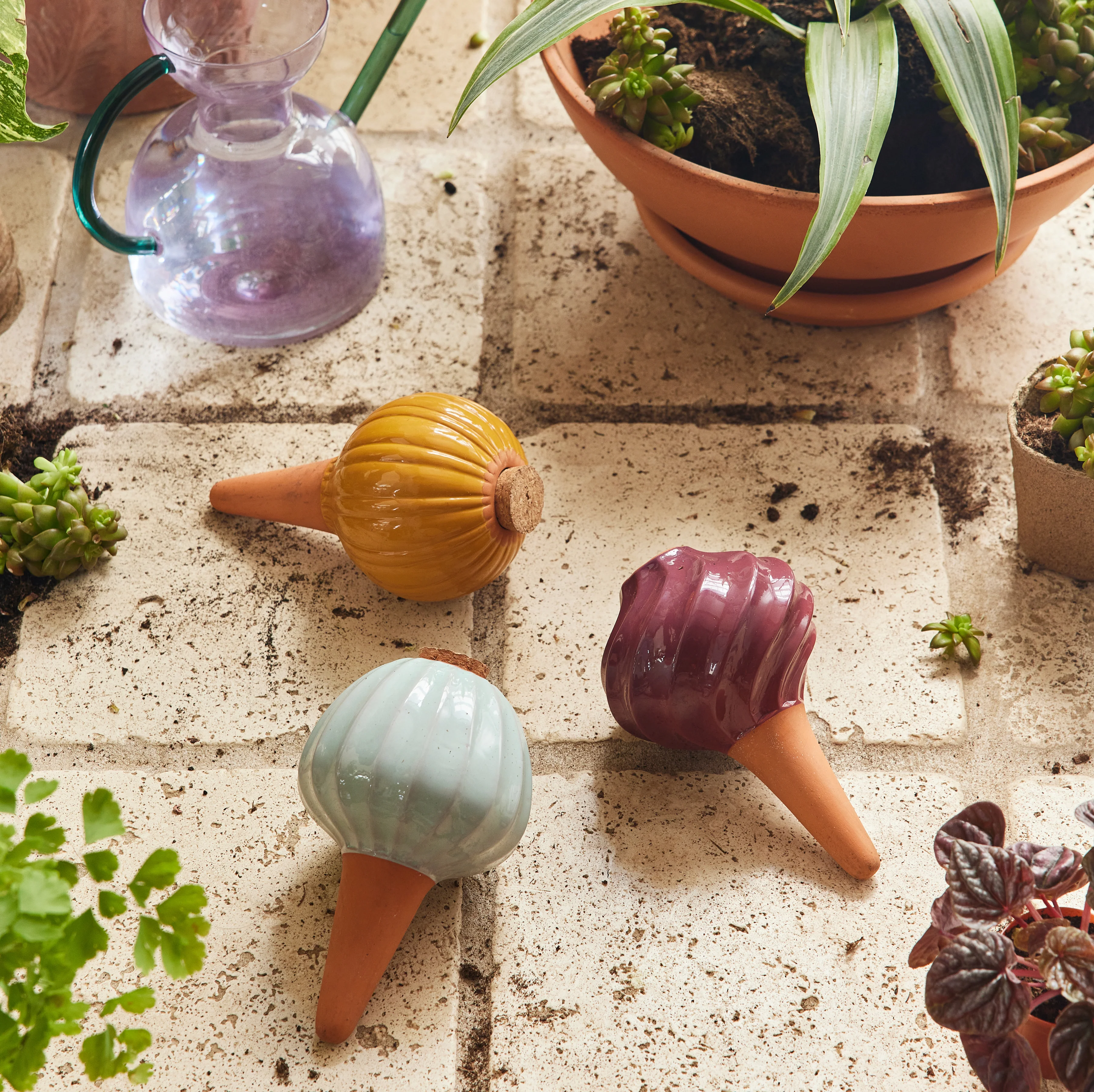Watering Bulbs, Variety Pack - Image 6