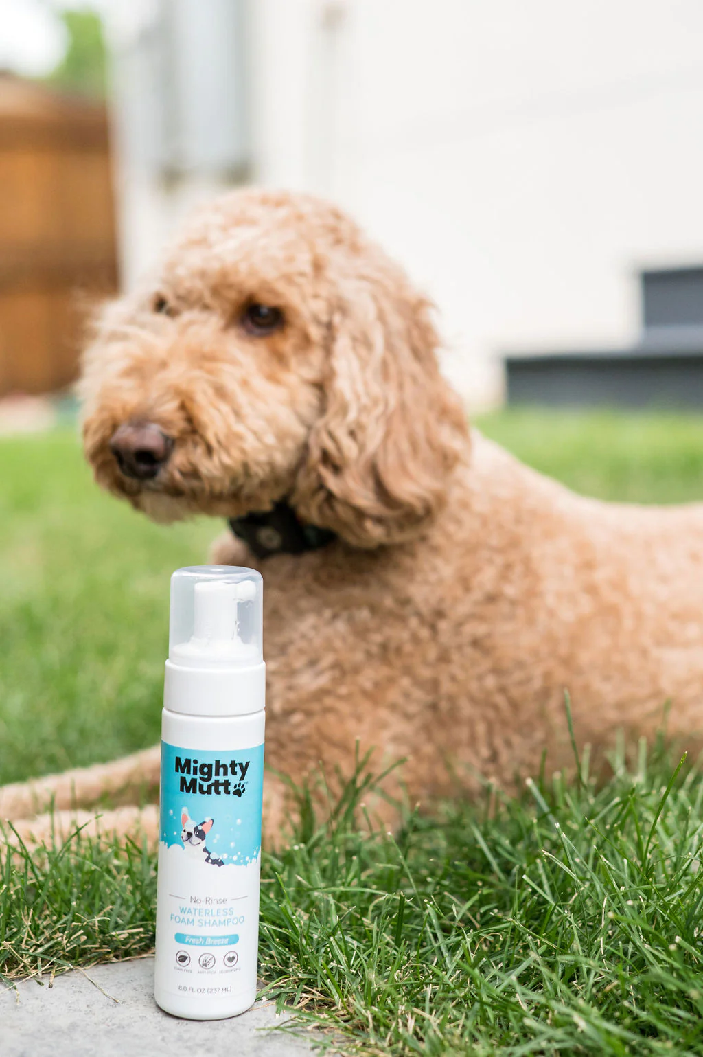 Waterless Foam Pet Shampoo - Image 6