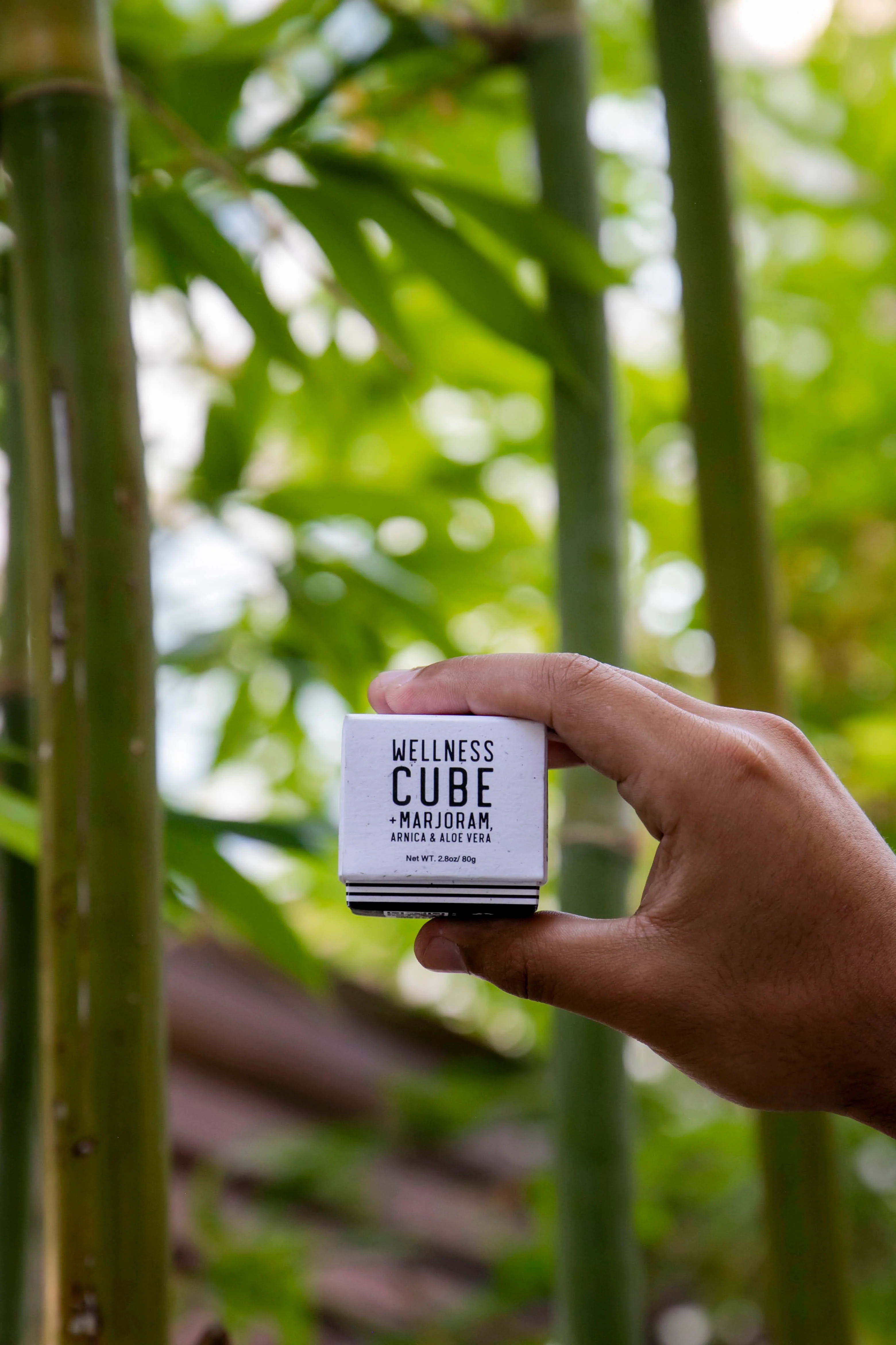 Wellness Cube - Image 8